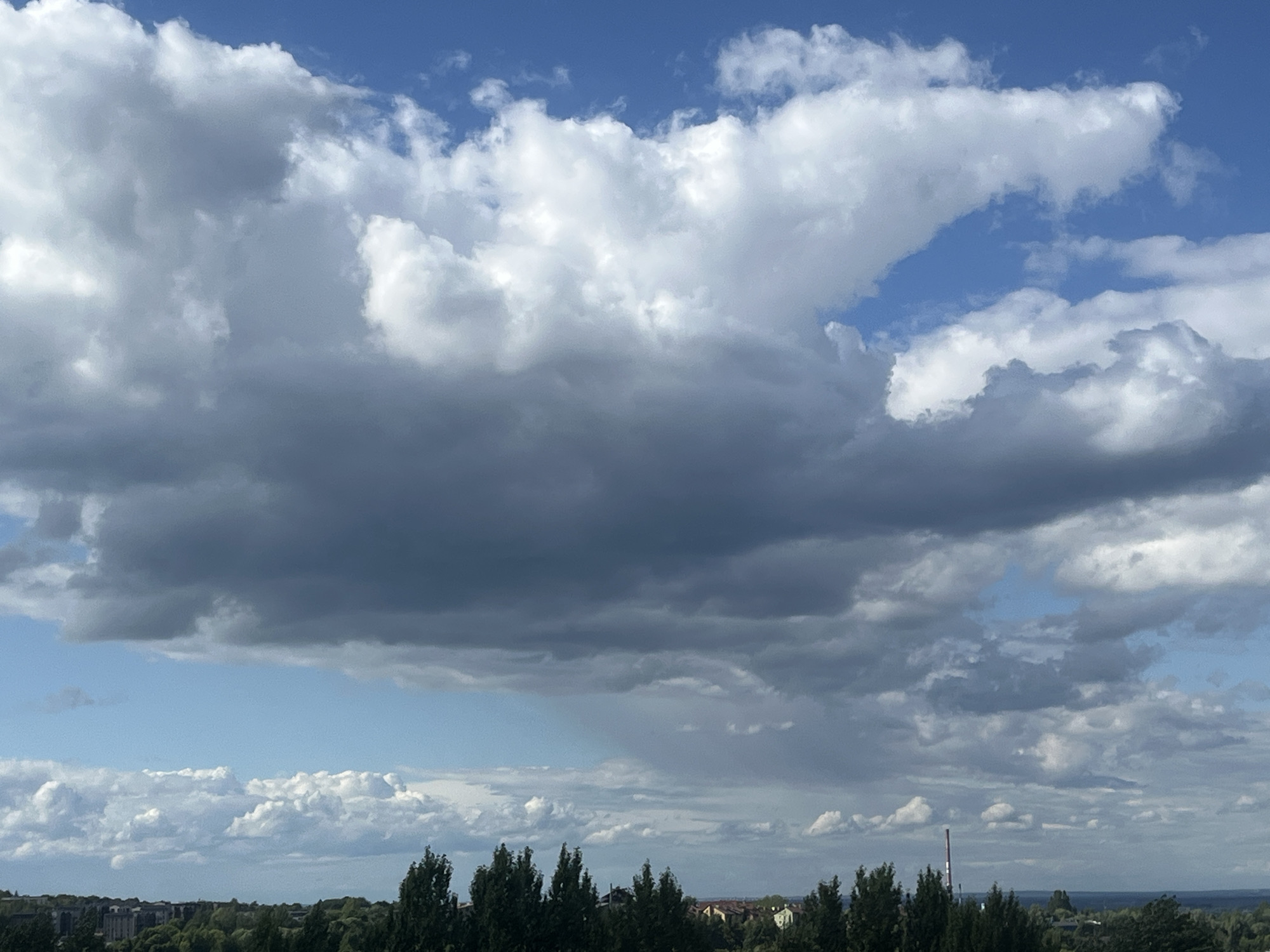 A wide shot captures a cloudy sky over a green landscape. The sky is a deep blue, with large, fluffy white clouds dominating the upper half of the frame. Below the clouds, a line of trees forms a dark green border along the bottom of the image. The trees are tall and slender, with some appearing denser than others. In the distance, a few buildings are visible, nestled amongst the trees, hinting at a city or town. The overall impression is one of a natural landscape on a day with mixed weather.