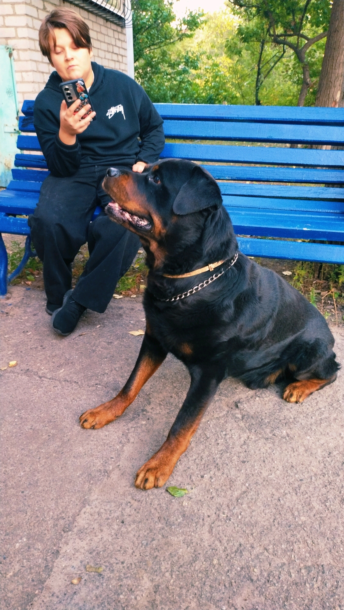 A young person wearing a black hoodie and black pants is sitting on a blue park bench, looking at their phone. A large Rottweiler dog with a metallic collar is sitting on the ground in front of the bench, looking up at the person. The background shows trees and a brick wall, suggesting an outdoor urban setting. This scene likely takes place in the city of Horishni Plavni, Ukraine, given the context.
