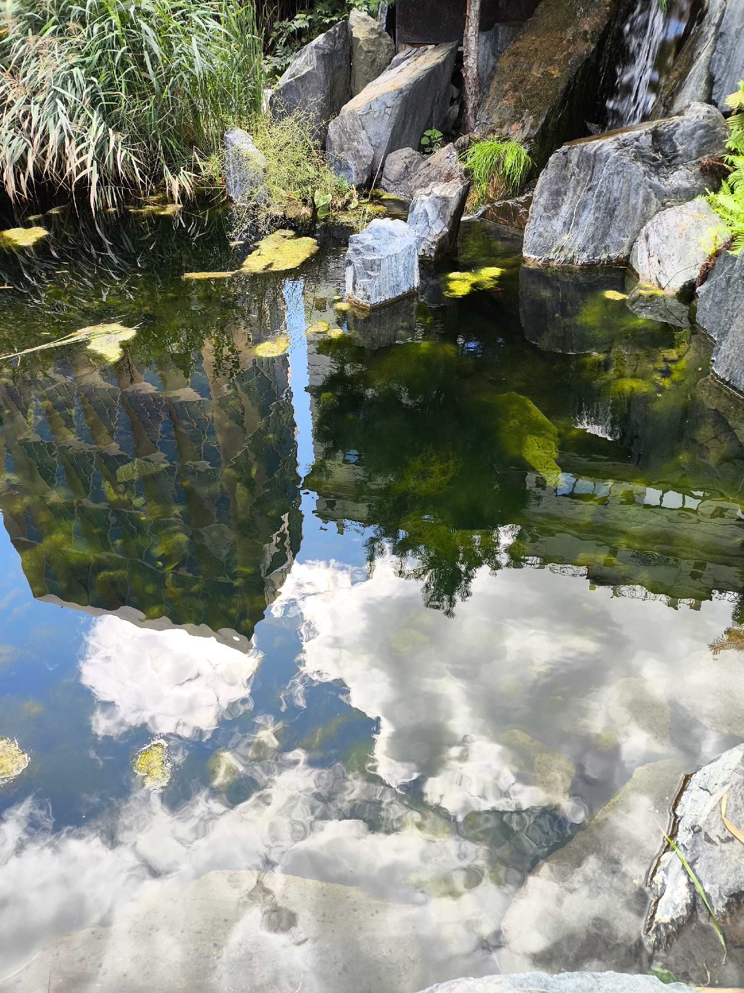 The image depicts a tranquil pond with reflections of a modern building and the sky, surrounded by rocks and lush vegetation. The pond's surface is partially covered with green algae and lily pads, indicating a naturalistic setting. The reflections on the water are complex, showing the distorted shapes of a glass-facade building and the bright white clouds against a blue sky. The background features large, grey rocks of various sizes, some with moss and small plants growing on them. Tall, thin reeds and other green foliage are visible along the edges of the pond, adding to the natural ambiance. In the upper right portion of the image, a small waterfall cascades over the rocks, contributing to the serene atmosphere. The overall scene suggests a peaceful outdoor environment, possibly a park or a garden designed to integrate with urban architecture. The specific location in Yekaterinburg, Russia, cannot be determined solely from the visual information provided in the image.