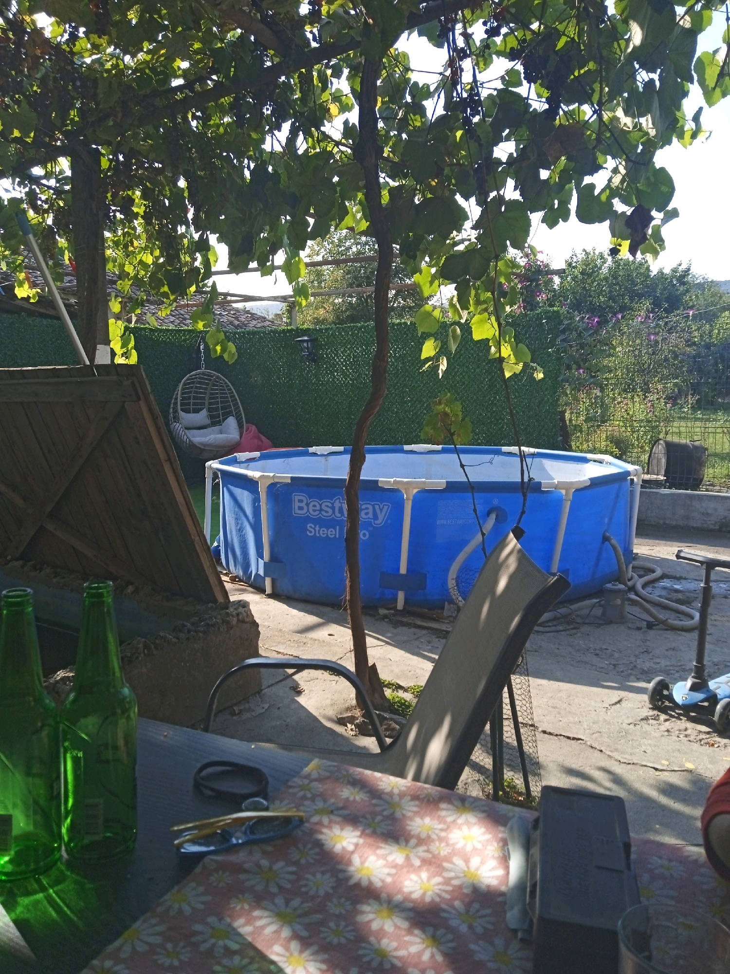 The image depicts a backyard scene in Vehtovo, Bulgaria, on a sunny day. The focal point is a blue, rectangular Bestway Steel Pro swimming pool, partially filled with water and surrounded by a concrete patio. To the left, two green glass beer bottles stand on a table covered with a floral-patterned cloth. A pair of sunglasses and a black watch are also on the table. In the background, a green mesh fence encloses the yard, and lush green trees with sunlit leaves provide shade. A white hanging chair with cushions is suspended from a tree branch. Further back, a small blue scooter is visible on the patio. The overall impression is of a relaxed outdoor setting.