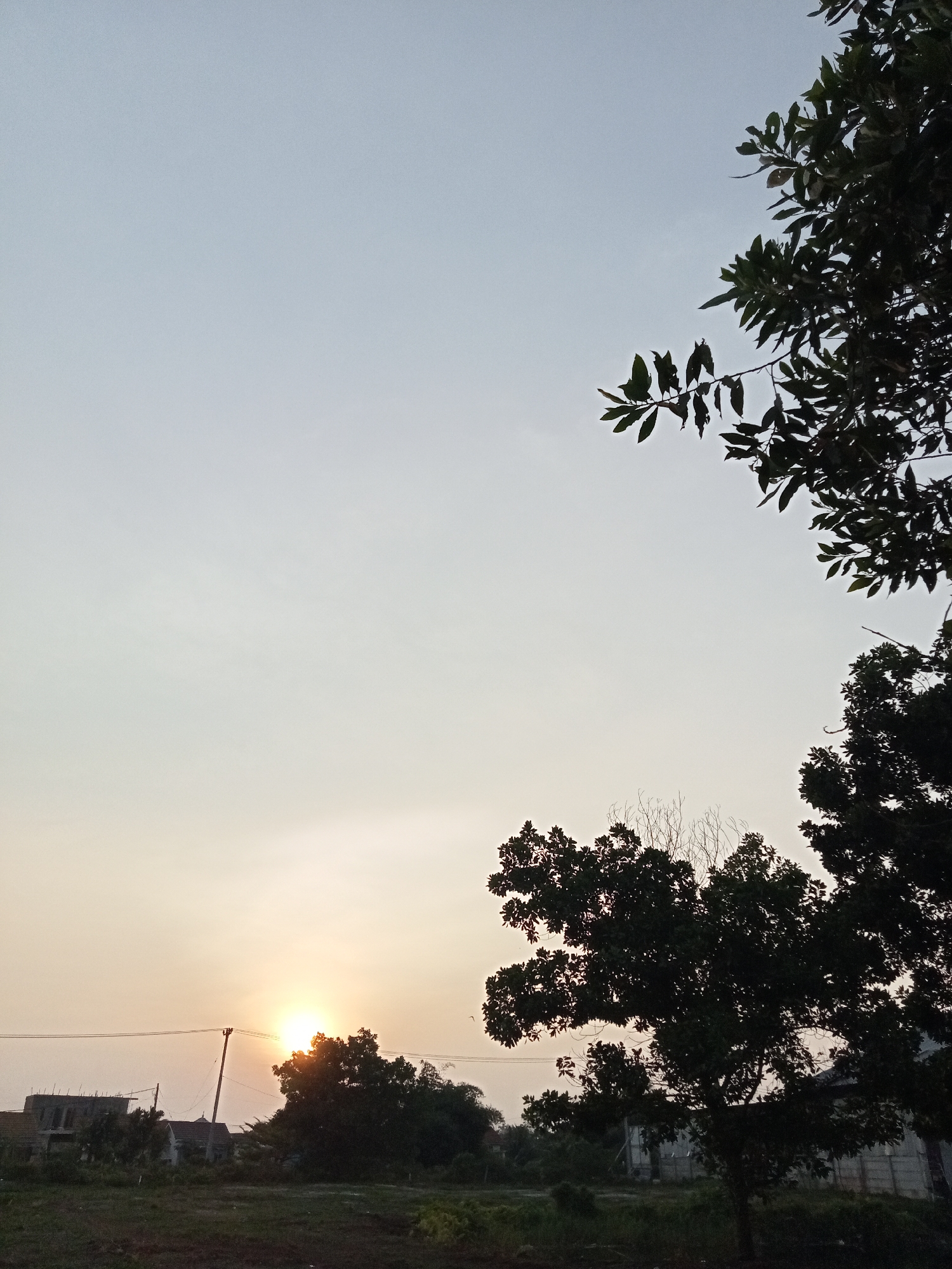 A silhouette of trees and a few buildings are visible against a pale sky with a sun low on the horizon. The sun is a bright, glowing orb just above the treeline on the left side of the image. The sky transitions from a pale yellow near the sun to a light blue at the top. In the foreground, dark silhouettes of trees dominate the lower portion of the frame, with foliage obscuring some of the background. To the left, a few partially constructed buildings and utility poles are visible. The ground in the immediate foreground appears to be rough and dark. The overall scene suggests it is either sunrise or sunset in a semi-urban or rural area.