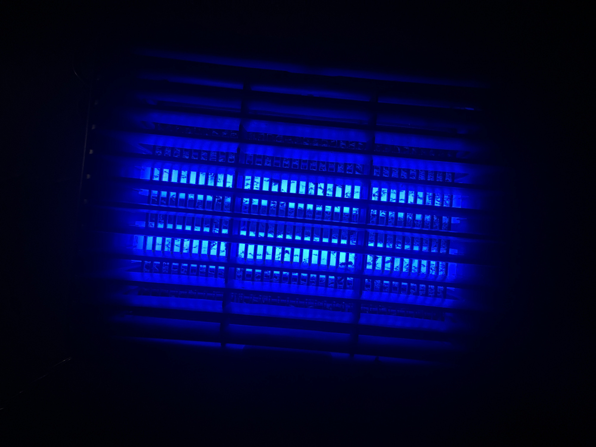 A close-up, low-angle shot captures a blue light trap, commonly used for insect control, emitting a bright, fluorescent blue glow in a dark environment. The trap's grid-like structure is visible, with some debris, likely insects, adhered to the mesh. The surrounding area is predominantly black, suggesting the photograph was taken at night or in a dimly lit space. There is no visible indication of the specific location within Haini, India.