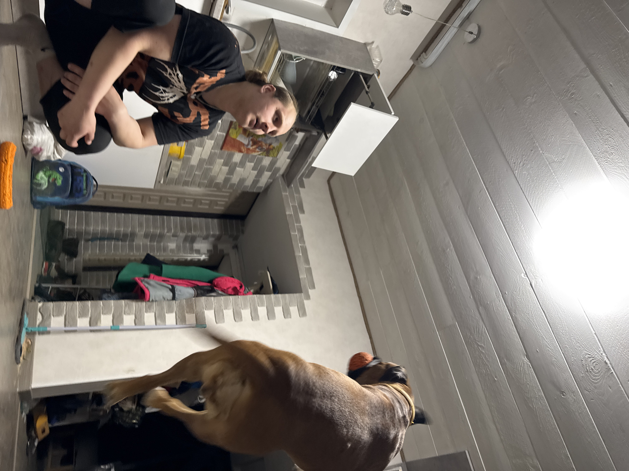 A person is kneeling in a kitchen with white cabinets and grey brick-patterned backsplash, seemingly interacting with a brown Boxer dog. The dog is positioned in the lower part of the frame near a broom resting against the wall. A backpack and an orange object are on the floor near the person. The interior has white, wooden-paneled walls. The location is the city of Chaikovsky, Russia.