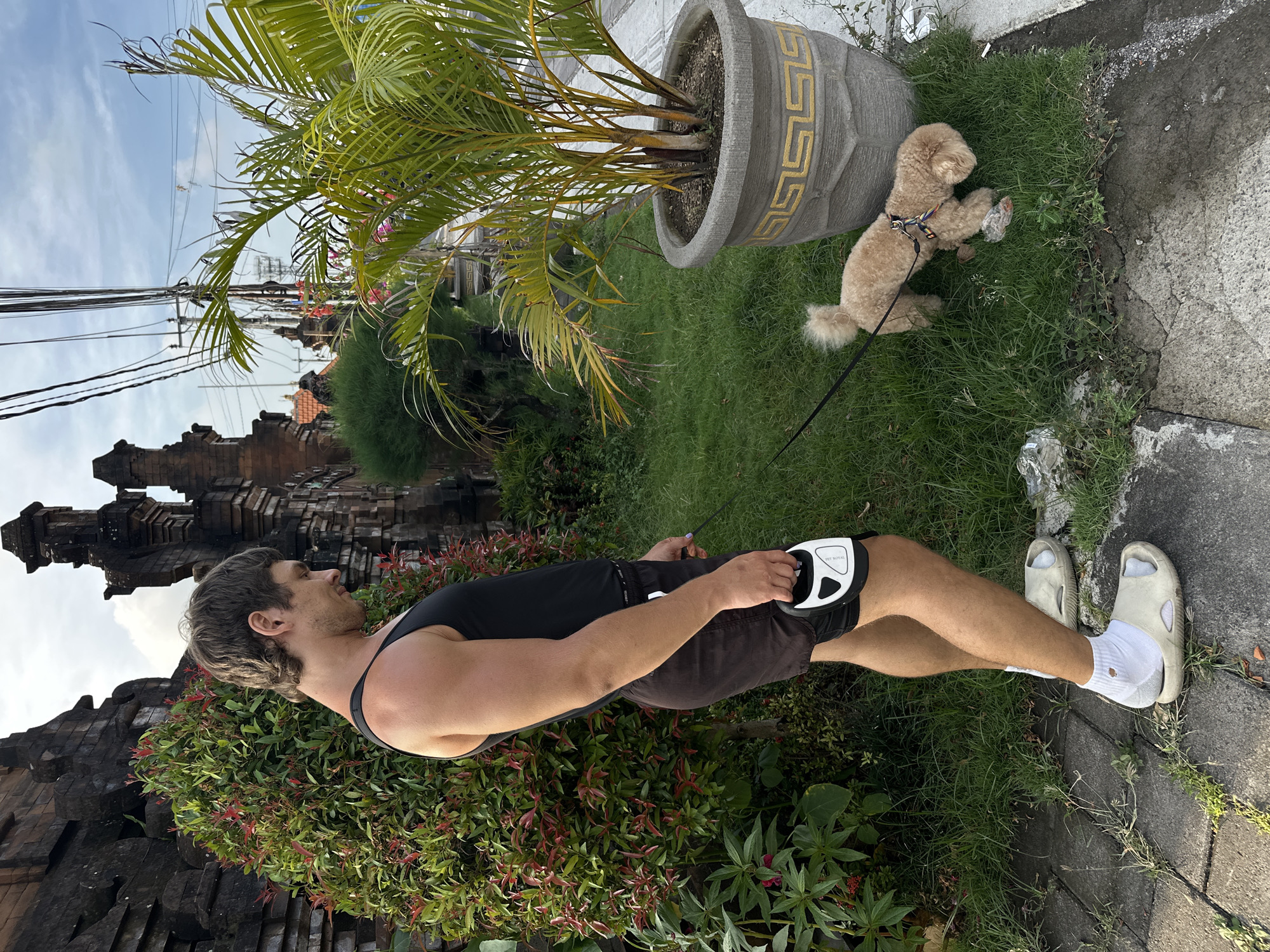 A fair-skinned man in a black tank top and dark shorts stands on a sidewalk next to a patch of grass. He holds a black and white leash attached to a tan-colored poodle standing on the grass next to a large, ornate potted palm tree. The man wears off-white slide sandals and white socks. Behind the man is a wall covered in red and green shrubbery, and a large, dark stone structure. Power lines are visible in the sky. Based on the architecture, vegetation, and power lines, this image was likely taken in North Kuta, Indonesia.
