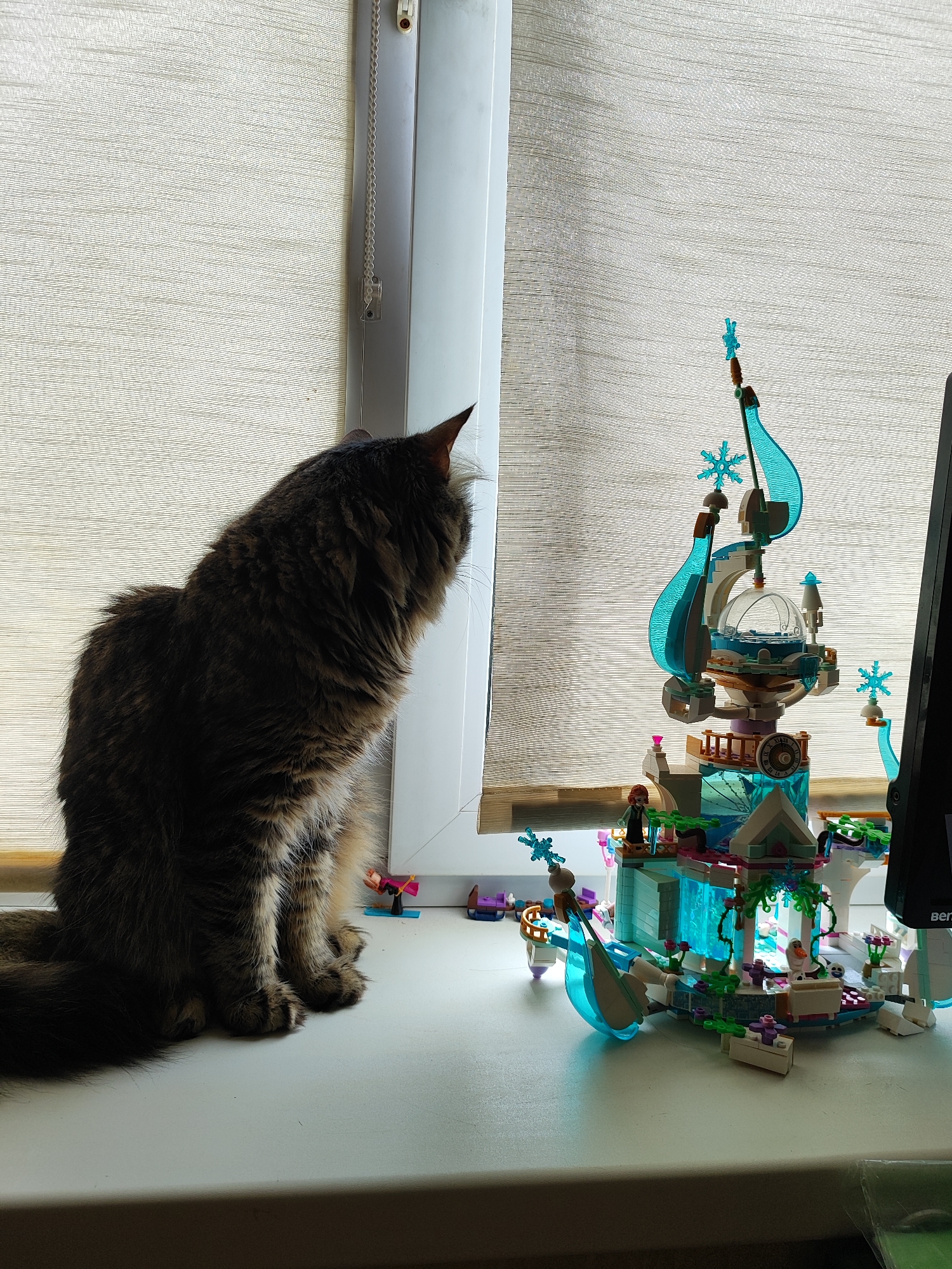 A long-haired, tabby cat with dark brown and lighter tan fur sits on a white windowsill or desk, its back to the camera, intently gazing towards a brightly lit window. Its bushy tail curls around its paws. To the right of the cat, a multi-tiered LEGO-style building set stands prominently, constructed from translucent blue and white pieces, featuring snowflake embellishments and several small figures, possibly from the "Frozen" theme (one figure resembling Elsa is visible). The set, with its intricate details including a large dome, balconies, and icy-looking structures, catches the light from behind.
The background is dominated by light-colored, horizontally textured window blinds, which diffuse the daylight entering the room. A white window frame is visible between the cat and the LEGO set. On the far right, a portion of a black computer monitor is visible, with the "BenQ" logo faintly discernible at its base. The overall lighting suggests it is daytime, with objects silhouetted or highlighted by the light coming through the blinds. The scene takes place indoors, in Shchyolkovo, Russia.