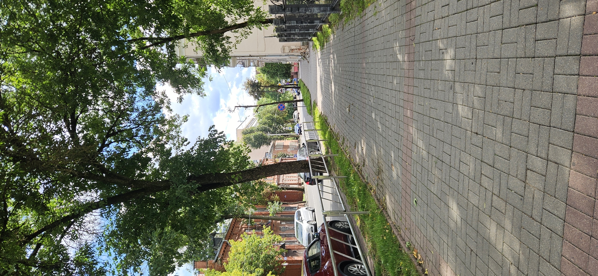 A vertical, medium shot captures a tree-lined street in Vitsebsk, Belarus. The foreground features a paved sidewalk made of rectangular grey and red bricks. A metal railing runs along the edge of the sidewalk, separating it from a grassy verge. Beyond the railing, cars are parked and driving on the street. Buildings with brick facades and modern apartment buildings line both sides of the street. Lush green trees with dense foliage arch over the sidewalk and street, creating a canopy. The sky above is partly cloudy with patches of blue.