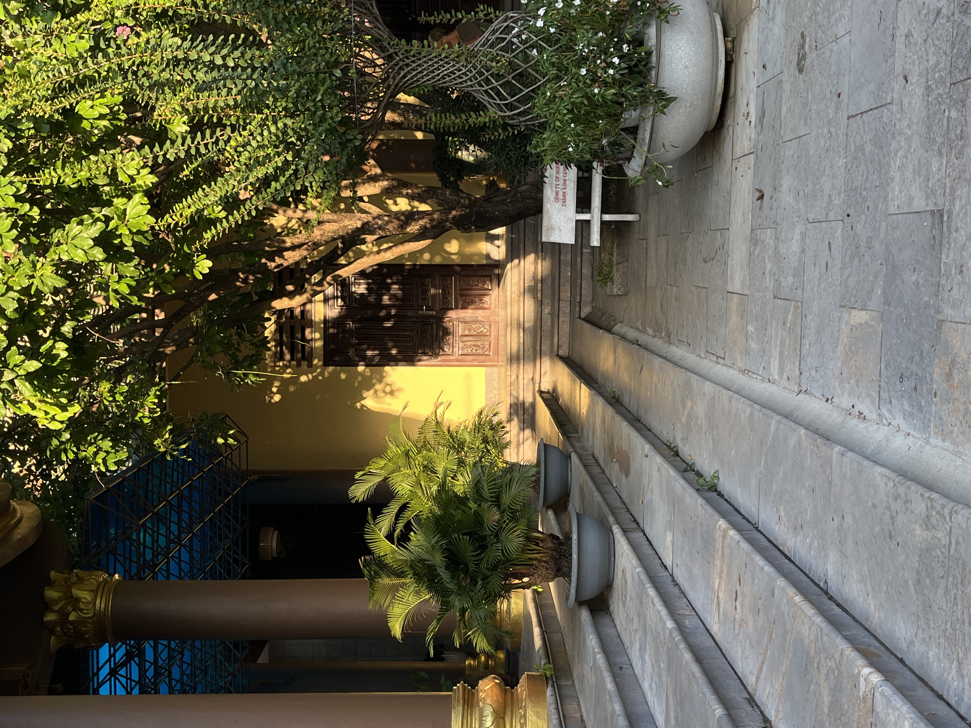 The image depicts a courtyard setting in what appears to be Đà Nẵng, Vietnam, judging from architectural styles, vegetation, and cultural artifacts. The scene is dominated by a stone pathway, lined by stepped concrete planters. Potted plants are visible in the planters, including what looks like a cycad or palm species. To the left of the pathway is a column or pillar, ornamented with gold leaf. Further back, there is a section of blue metal latticework. On the other side of the path, an older tree casts shadows on a structure with ornate wooden doors. A sign is also visible next to the older tree. The scene is bathed in sunlight, suggesting a daytime setting.
