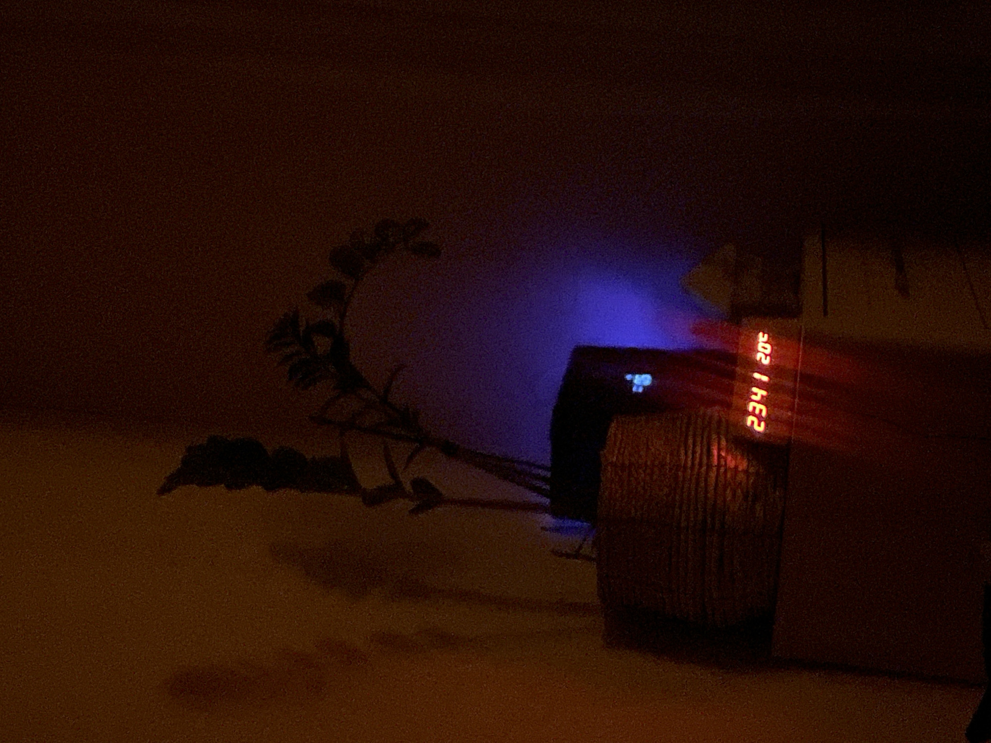 A close-up shot captures a dimly lit scene with a potted plant on a table. The plant, a ZZ plant, is in a woven pot and casts a shadow on the wall behind it. To the right of the plant, a digital clock displays "23:41 20C". The clock appears to be on a bedside table or dresser. The overall lighting is moody, with blue and red hues from the clock and possibly an ambient light source contributing to the atmosphere. The image is devoid of human presence, focusing solely on the inanimate objects and the ambiance of the room.