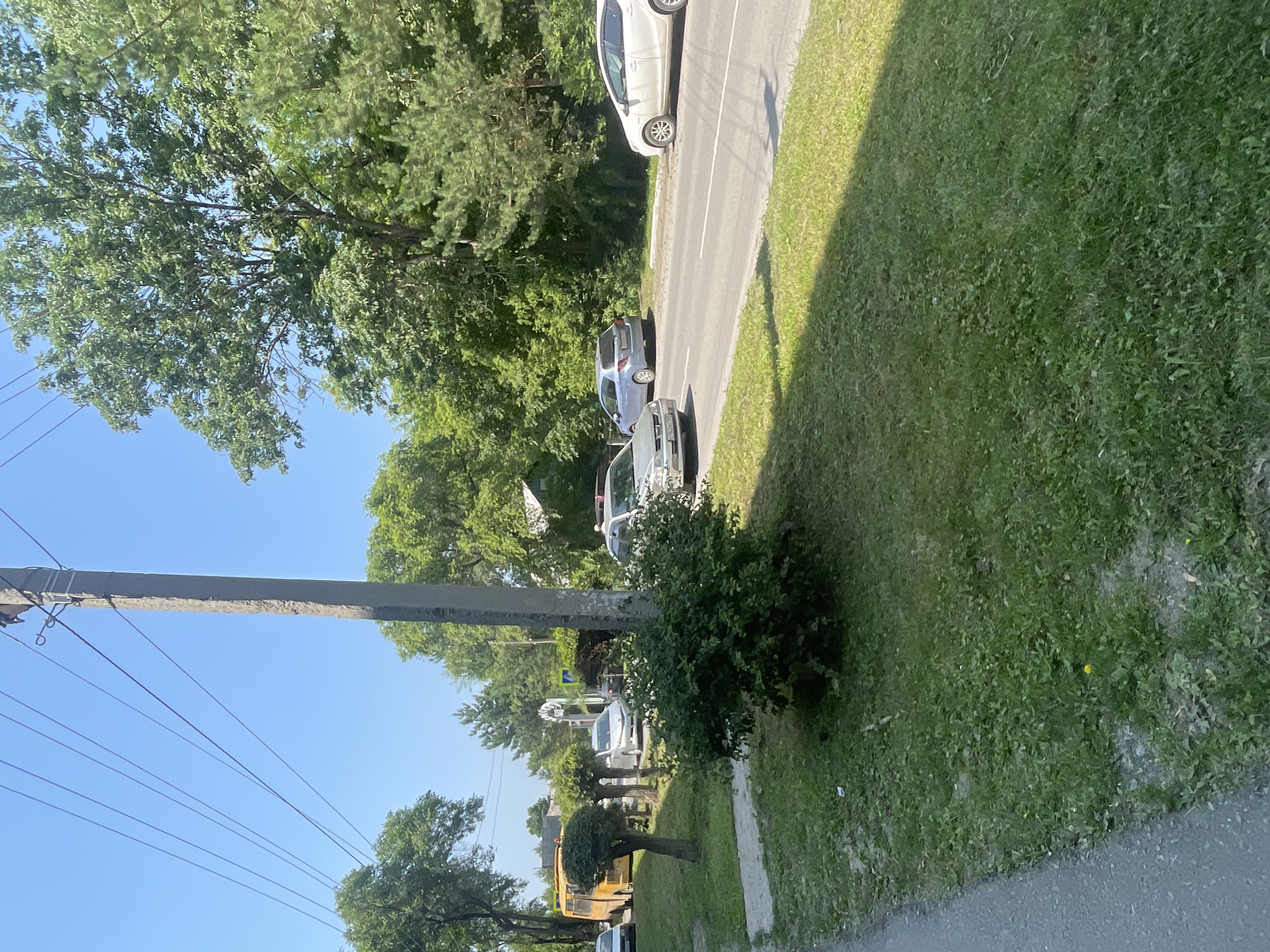 This is a vertical, eye-level, outdoor, daytime, sunny, full shot photograph taken in Spassk-Dal'nij, Russia. The scene depicts a street with parked cars and a grassy verge. In the foreground, a paved sidewalk is visible on the right, bordered by a well-maintained green lawn. Further into the scene, a road runs parallel to the sidewalk, with several cars parked along its edge. These include a white SUV, a silver hatchback, and a white sedan. Overhead, a utility pole with wires stretches across the frame. Lush green trees line the street, creating a canopy of shade. In the background, more trees and buildings can be seen. The sun is casting long shadows, indicating it is likely late afternoon or early morning. The overall atmosphere is peaceful and ordinary, suggesting a typical day in a residential or semi-rural area. No people are clearly visible, and there is no text in the image.