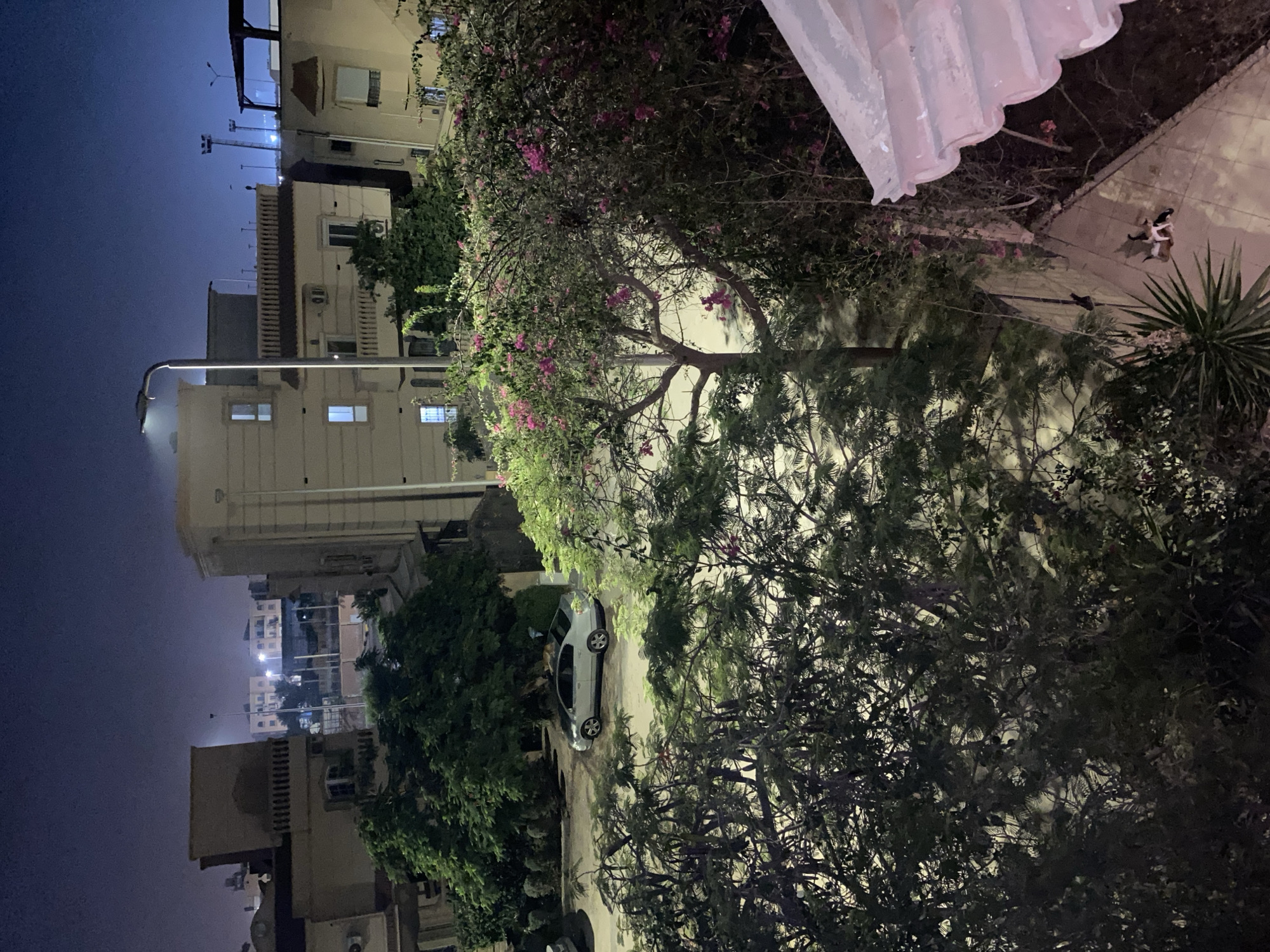 An elevated, wide-angle, night-time exterior shot captures a residential street scene in Legenda, Egypt. In the foreground, lush green foliage, some bearing small pink flowers, dominates the lower half of the frame, with a portion of a tiled roof visible in the bottom right corner. Beyond the vegetation, a light-colored sedan is parked on the street, its headlights off. Several multi-story buildings, typical of urban Egyptian architecture with their light-colored facades and balconies, are visible in the mid-ground and background. A street lamp illuminates the scene, casting a soft glow on the buildings and street. The sky is a deep, dark blue, suggesting late evening or early night. Two cats are seen on the paved ground in the lower right quadrant.