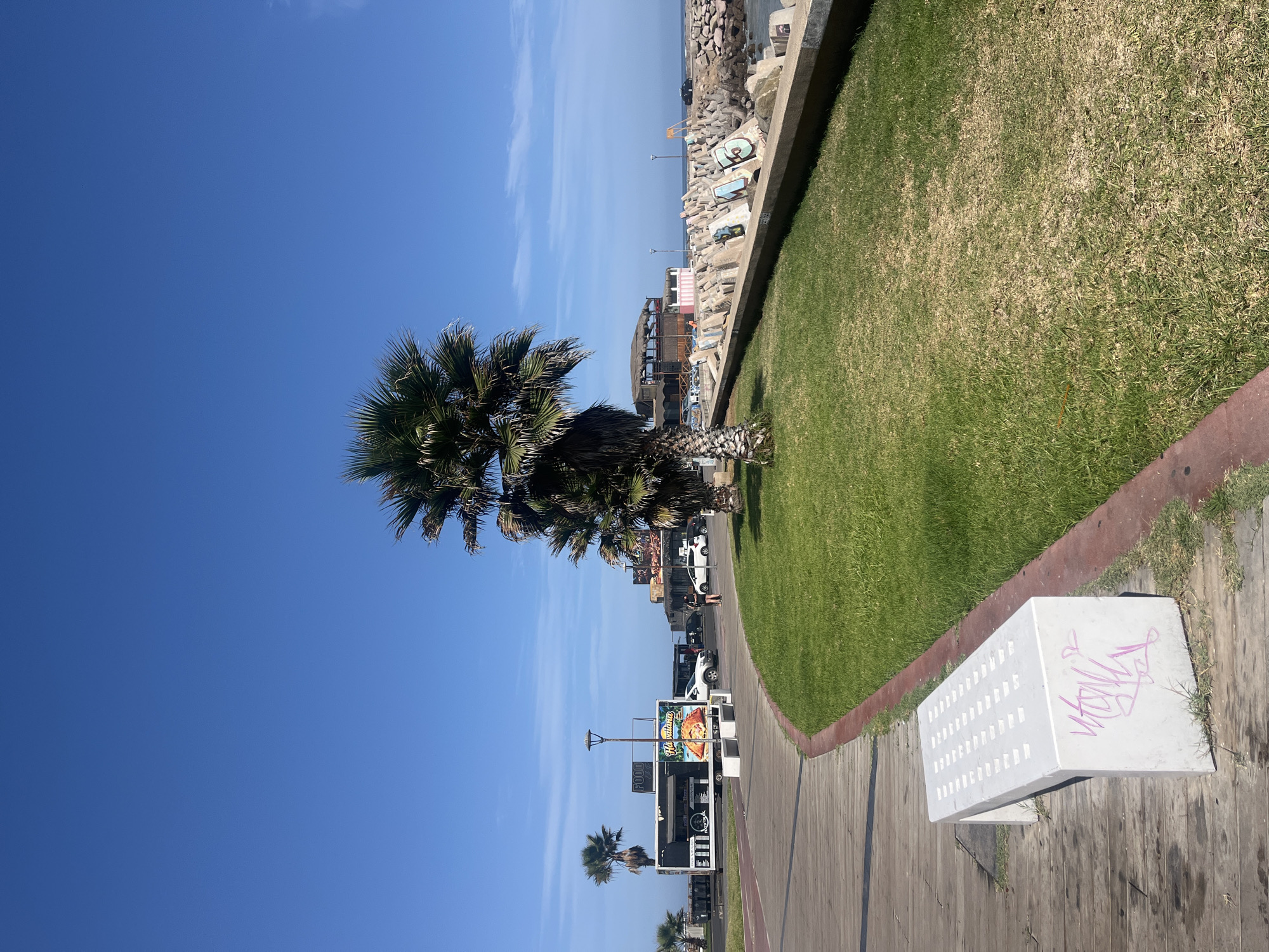 The image captures a sunny day in Arica, Chile, along a seaside promenade. The sky is a clear, vibrant blue with a few scattered clouds near the horizon. A palm tree dominates the left side of the frame, its fronds casting shadows below. A paved walkway runs alongside a green lawn, bordered by a raised edge. A white concrete bench with graffiti sits on the walkway. Further away, food trucks and vehicles are parked along the street. The promenade leads toward a waterfront area with rocks and structures, suggesting a coastal defense or breakwater. A building is visible beyond the street. No people are clearly visible.