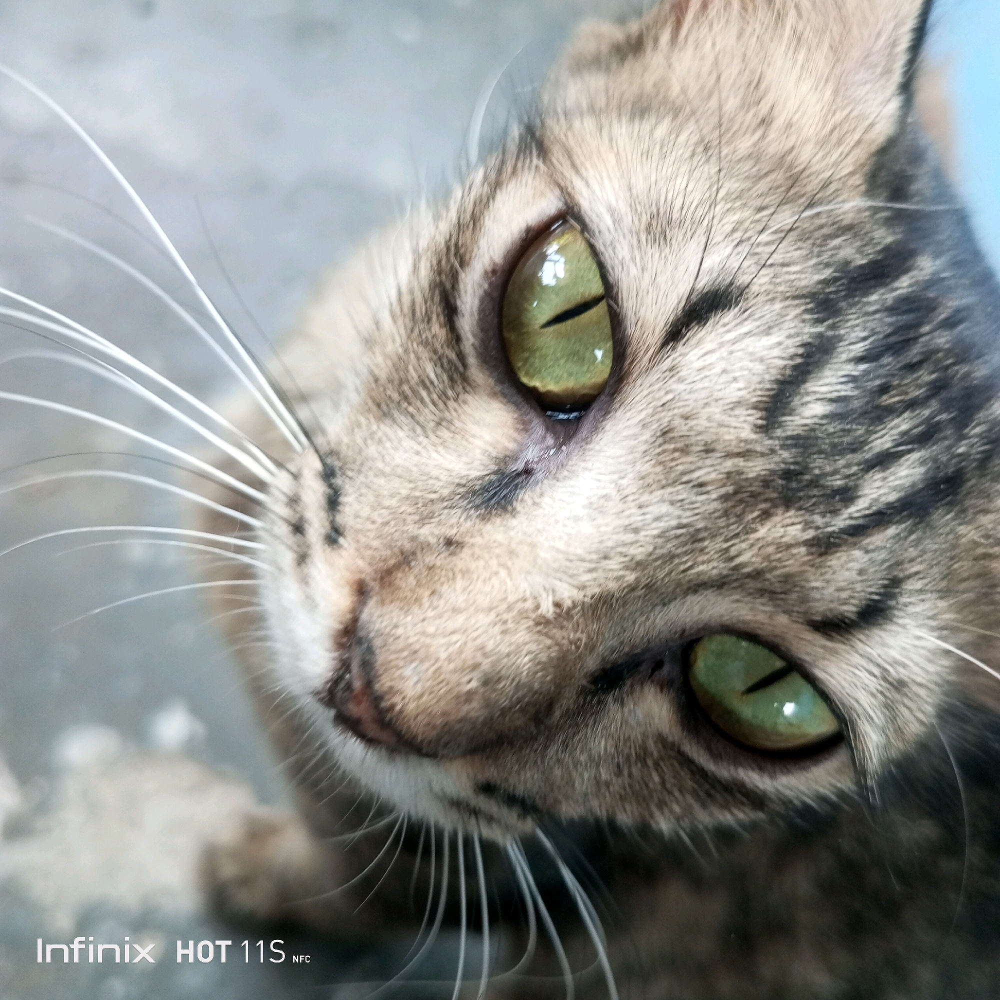 This is a close-up, eye-level shot of a tabby cat's face, taken in the city of Sukaslamet, Indonesia. The cat's fur is a mix of brown, grey, and black stripes, with white whiskers fanning out from its muzzle. Its large, green eyes are wide open, reflecting light and revealing slit pupils. One eye is partially obscured by the cat's fur. The background is blurred and appears to be a light grey, textured surface, possibly a concrete floor or wall. The lower left corner of the image shows a watermark reading "Infinix HOT 11S NFC". The cat is looking upwards and slightly to the left, with its head tilted. There are no people or other animals visible in the frame. The lighting appears to be natural, casting subtle shadows on the cat's face.