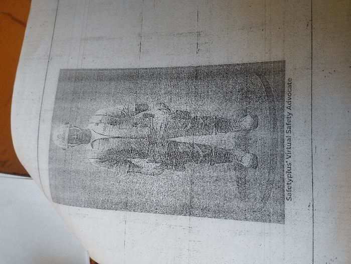 The image shows a grainy, black and white photograph of a person wearing a hat and a jacket, printed on a sheet of paper with a faint grid pattern. The person is facing the camera, but their features are difficult to make out due to the poor image quality. The paper has the words "Safetyplus' Virtual Safety Advocate" written on the right side. This image is located in Ashaka, Nigeria, at coordinates latitude: 10.917, longitude: 11.476.