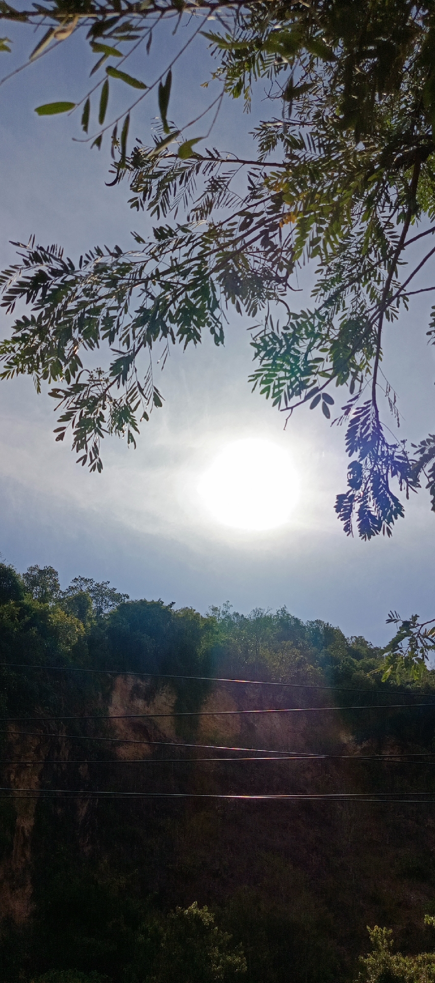 A vertical, low-angle shot captures a bright, hazy sun radiating light in the center of the frame, partially obscured by the leaves and branches of a tree in the foreground. The sky is a light blue with faint white clouds. Below the sunlit sky, a dense line of lush green trees forms a natural crest against the horizon. Beneath the trees, a steep, rocky cliff face is visible, characterized by exposed earth and layers of sediment in varying shades of brown and tan. Several dark, horizontal lines, likely power lines or wires, are strung across the cliff face, catching the sunlight with subtle glints of color. The lower portion of the image is dominated by the dark, shadowed base of the cliff and the dense foliage of trees at its foot, with some leaves illuminated by indirect light. The scene appears to be an outdoor, natural environment, possibly a hillside or quarry, with evidence of man-made infrastructure in the form of the wires. The location is specified as Leuue, Indonesia. There are no people visible in the image.