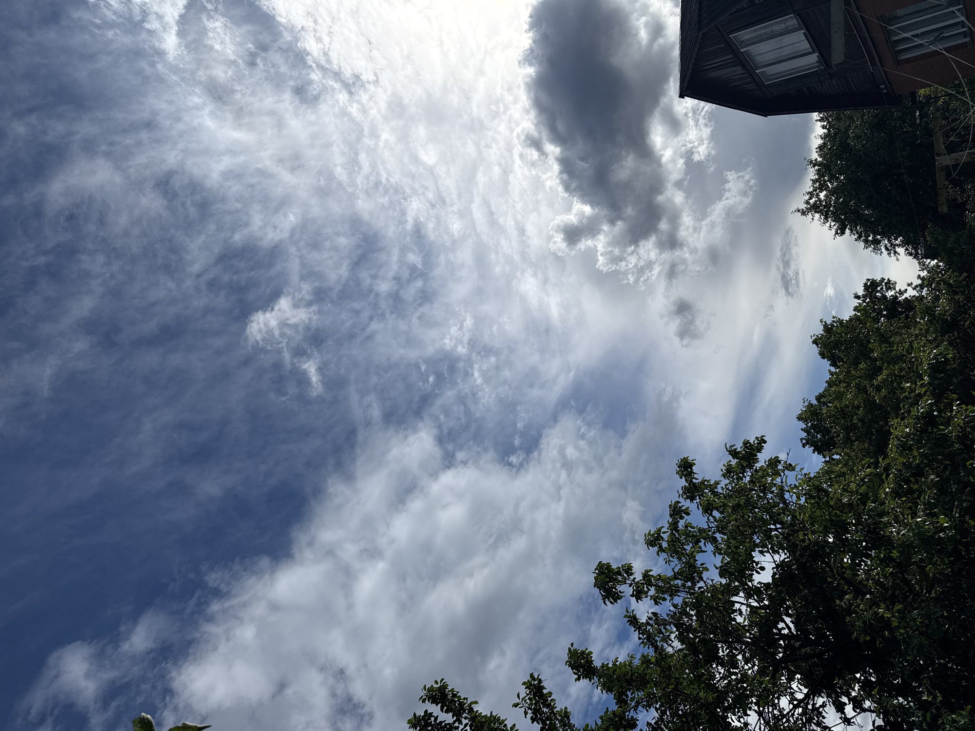 The image captures a dynamic sky with a mix of clouds, illuminated by daylight. The scene is dominated by the sky, which fills most of the frame and displays various cloud formations. Wispy, cirrus-like clouds streak across a clear blue expanse, interspersed with larger, more textured cumulus clouds, some of which are darker and appear to be gathering. The lighting suggests it is daytime, likely midday or early afternoon, given the brightness of the sky and the contrast between the sunlit clouds and shadowed areas.
In the upper right corner, a portion of a building is visible, featuring a dark wooden facade with a window and a brick section with another window. This provides a hint of an urban or semi-urban environment. The lower parts of the image are partially obscured by the dense green foliage of trees, whose branches and leaves reach upwards into the sky. This suggests the photo was taken from ground level, looking upwards, possibly in a park, garden, or an area with surrounding vegetation.
The overall impression is one of a somewhat overcast but bright day, with a sense of nature interacting with human structures. There is no visible text in the image. The location context provided, Дзержинец-83 Снт, Russia, further supports the interpretation of a setting with natural elements and possibly residential buildings.