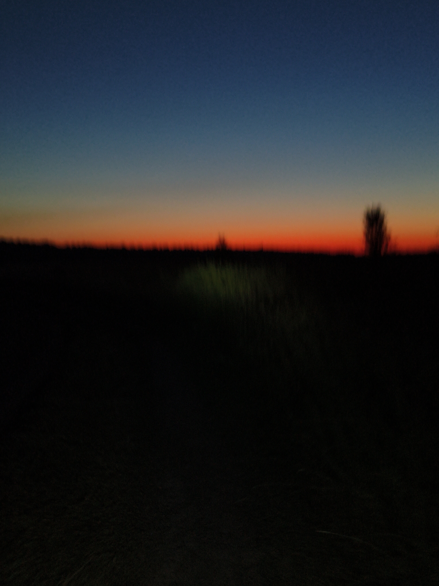 The image captures a twilight scene with a gradient sky transitioning from deep blue at the top to a vibrant orange band near the horizon. Below the sky, a dark, silhouetted landscape stretches across the frame. The foreground is almost entirely black, obscuring any details of the ground or vegetation. In the distance, a faint, blurry shape of a tree or shrub is visible on the right side, silhouetted against the bright horizon. On the left side of the horizon, a patch of lighter green, possibly grass or foliage illuminated by a light source, is discernible. The overall mood is serene and tranquil, indicative of the transition from day to night. The lack of discernible activity and the abstract nature of the silhouettes suggest a still, natural landscape. The time of day is clearly sunset or dusk, given the colorful sky. There is no visible text in the image.