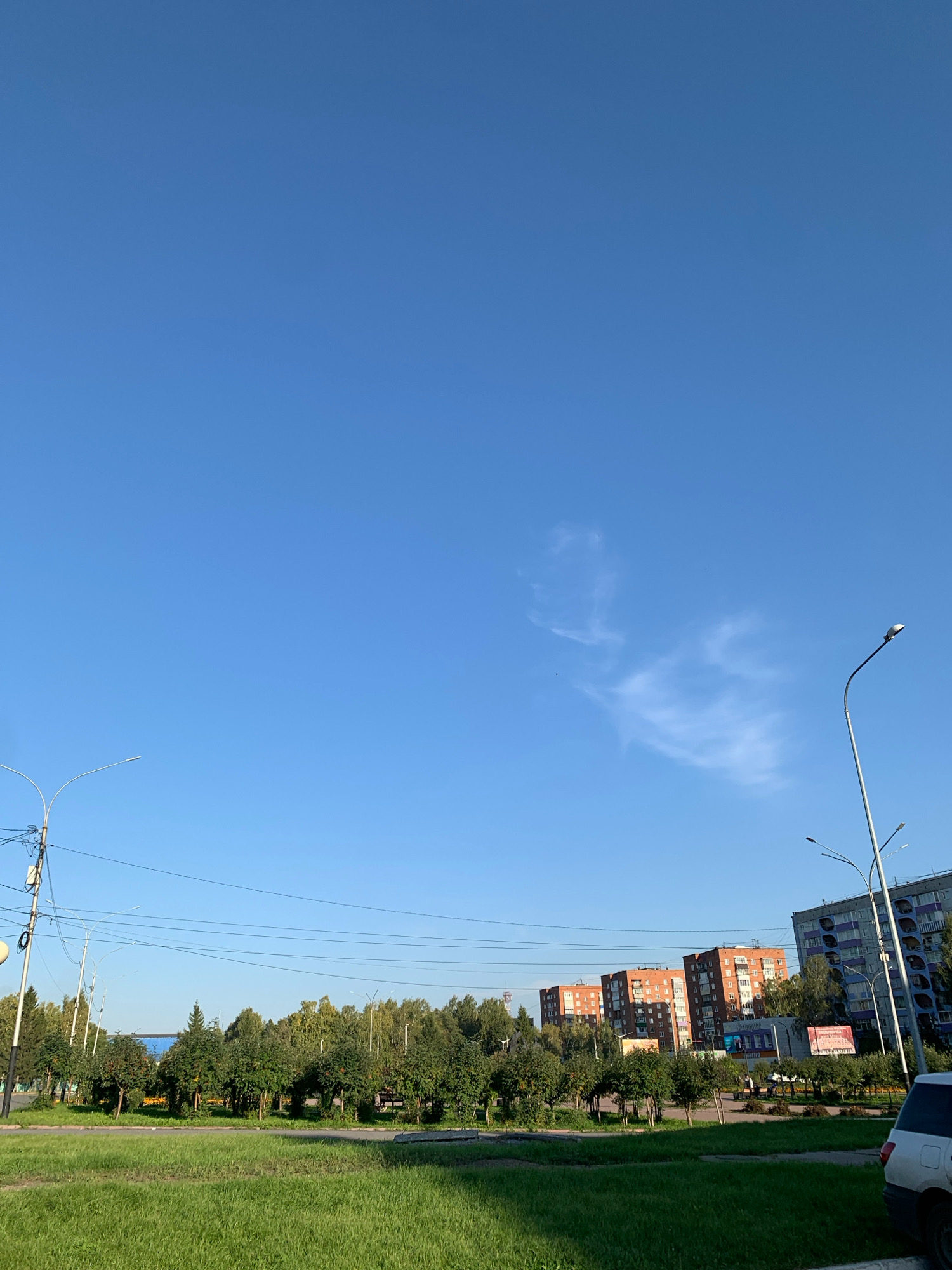 The image captures a street scene in Prokopyevsk, Russia, under a clear blue sky with scattered wispy clouds. In the foreground, a well-maintained green lawn occupies the lower half of the frame. Beyond the lawn, a row of trees forms a green belt, separating the lawn from the street.
On the other side of the trees, a street is visible with a sidewalk and some parked cars. Further in the background, several multi-story residential buildings dominate the skyline. These buildings exhibit a mix of architectural styles and colors, with some featuring brick facades and others painted in lighter hues. Streetlights are present along the street. Power lines are strung across the midground, connecting utility poles. A white car is partially visible in the bottom right corner of the image. The overall impression is that of a typical urban environment in Russia on a sunny day.