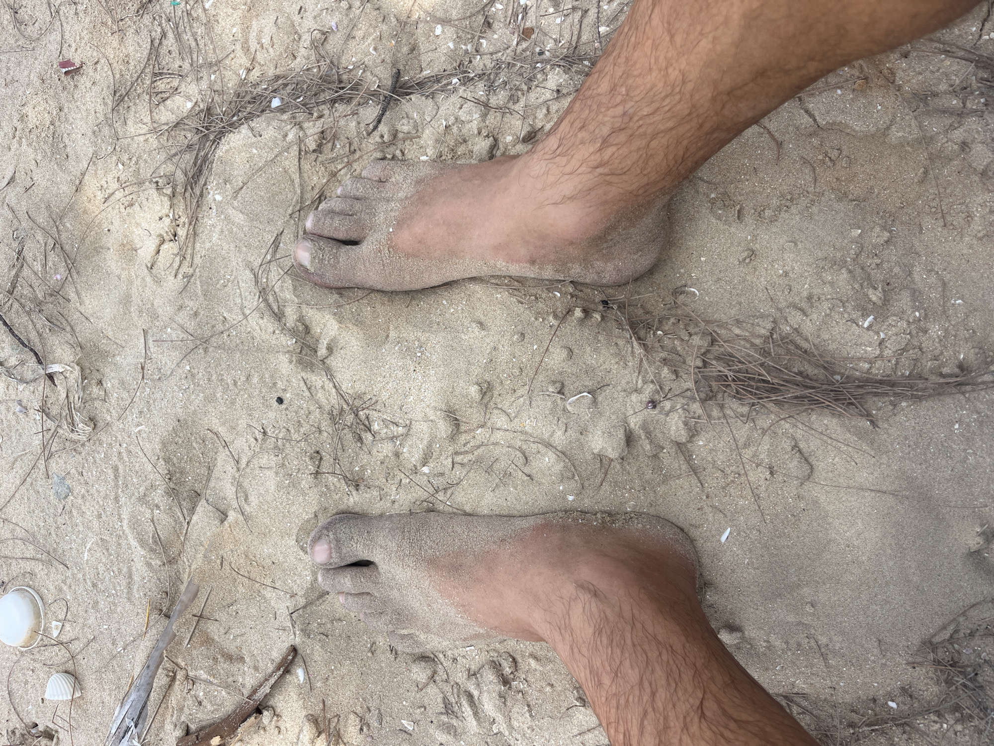 The image shows a pair of sandy feet standing on a beach. The sand is light brown and appears to be mixed with small shells and dried pine needles. There are also a few pieces of debris scattered on the sand, including a white plastic lid and some twigs. The feet are bare and appear to be covered in a light layer of sand. The scene is likely located on one of the many beaches in Mui Ne, Vietnam, known for its sand dunes and coastal landscapes.