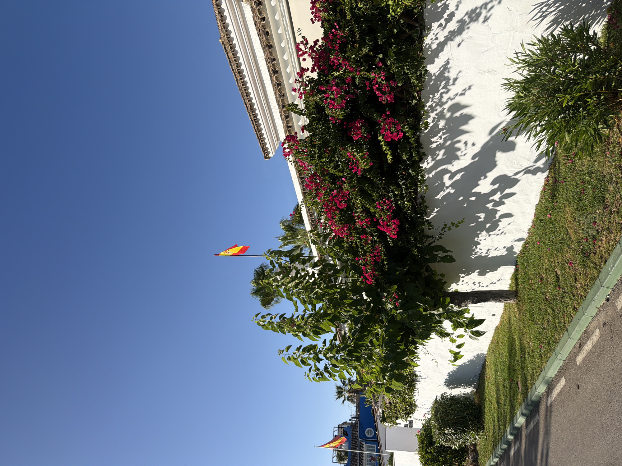 A Spanish flag flies from a pole on the right side of the image against a clear blue sky. To the left, another Spanish flag is visible on a smaller pole. A white stucco wall runs horizontally across the frame, topped with a tiled roof. Lush green foliage with vibrant pink bougainvillea flowers cascades over the wall in the center and right. In front of the wall, a small tree with green leaves stands on a grassy lawn. A paved road with a green curb runs along the bottom left of the image. The scene appears to be in Saladillo-benamara, Spain, indicated by the flags and architectural style.