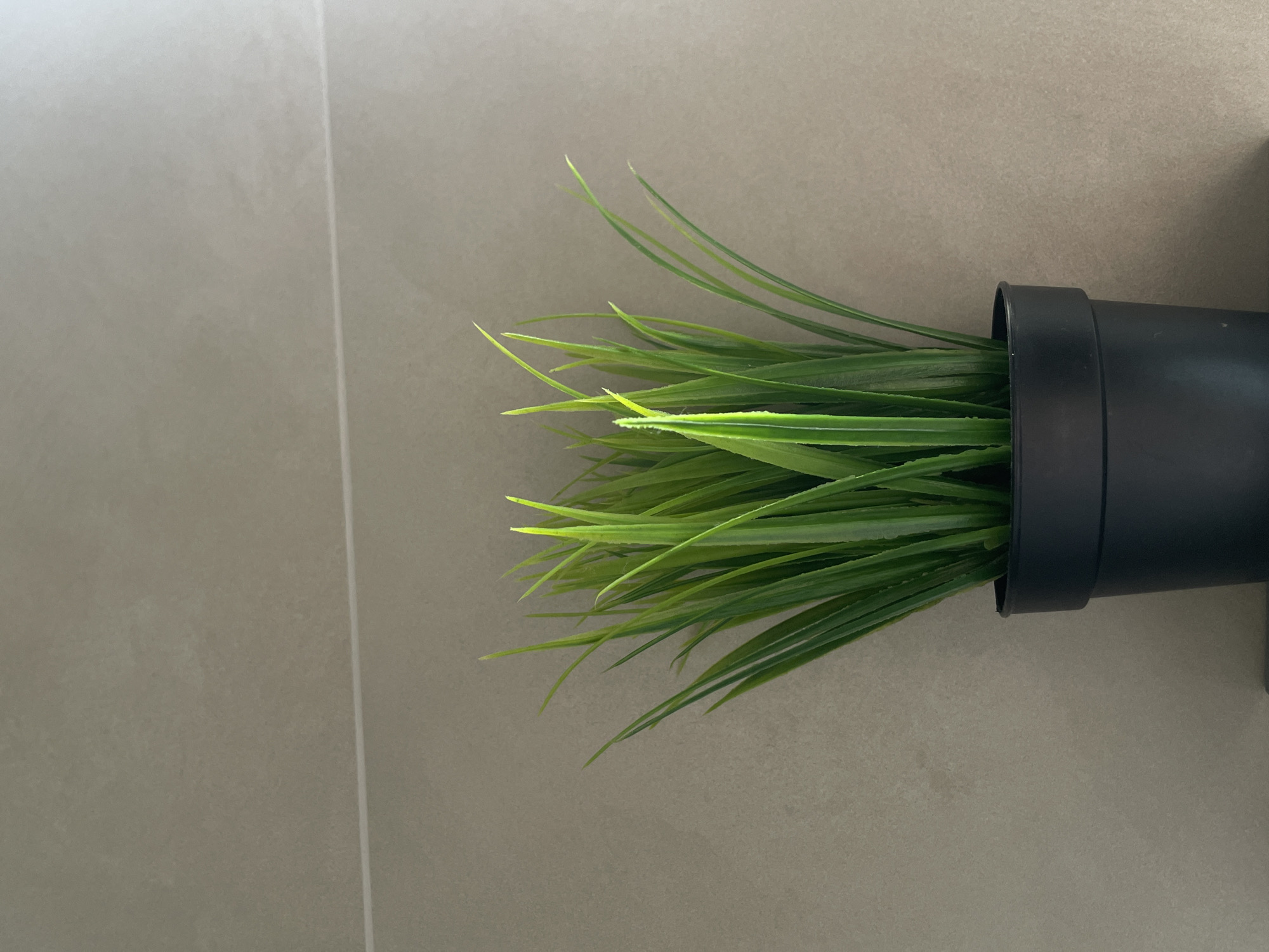 A medium-angle shot depicts a potted plant lying on its side on a grey tile surface. The plant, resembling grass, has numerous green blades extending out of a black cylindrical pot. The background is plain, consisting solely of the grey tiled surface. The image provides no indication of its location being in Подшивалово, Russia, or any other specific location.