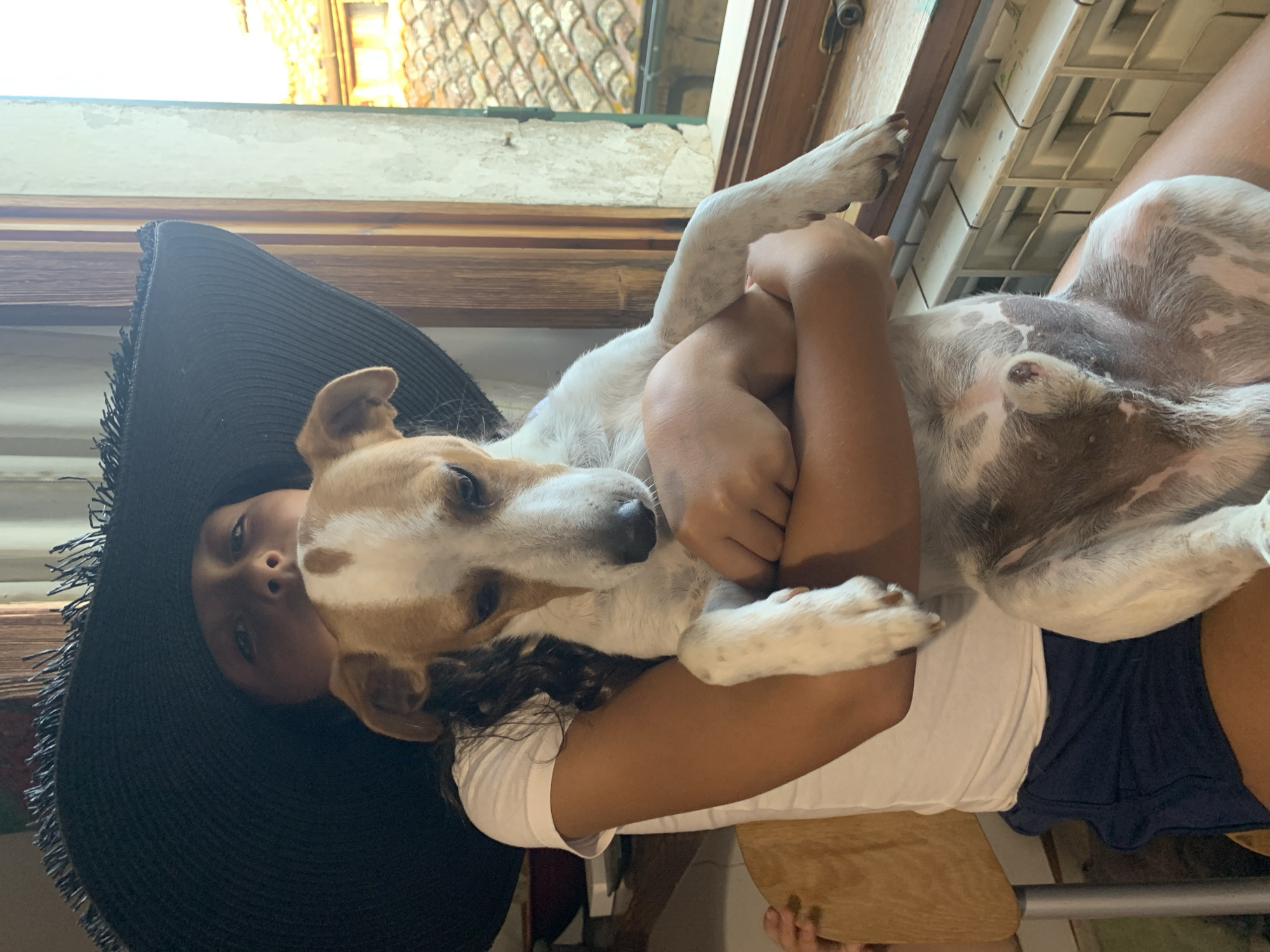 A young person wearing a wide-brimmed black hat and a white t-shirt is holding a medium-sized dog. The dog is white with tan markings and is being held in the person's arms. The scene appears to be indoors, near a window with wooden framing. Through the window, rooftops of buildings can be seen, suggesting an urban or town setting. The overall lighting suggests it is daytime.