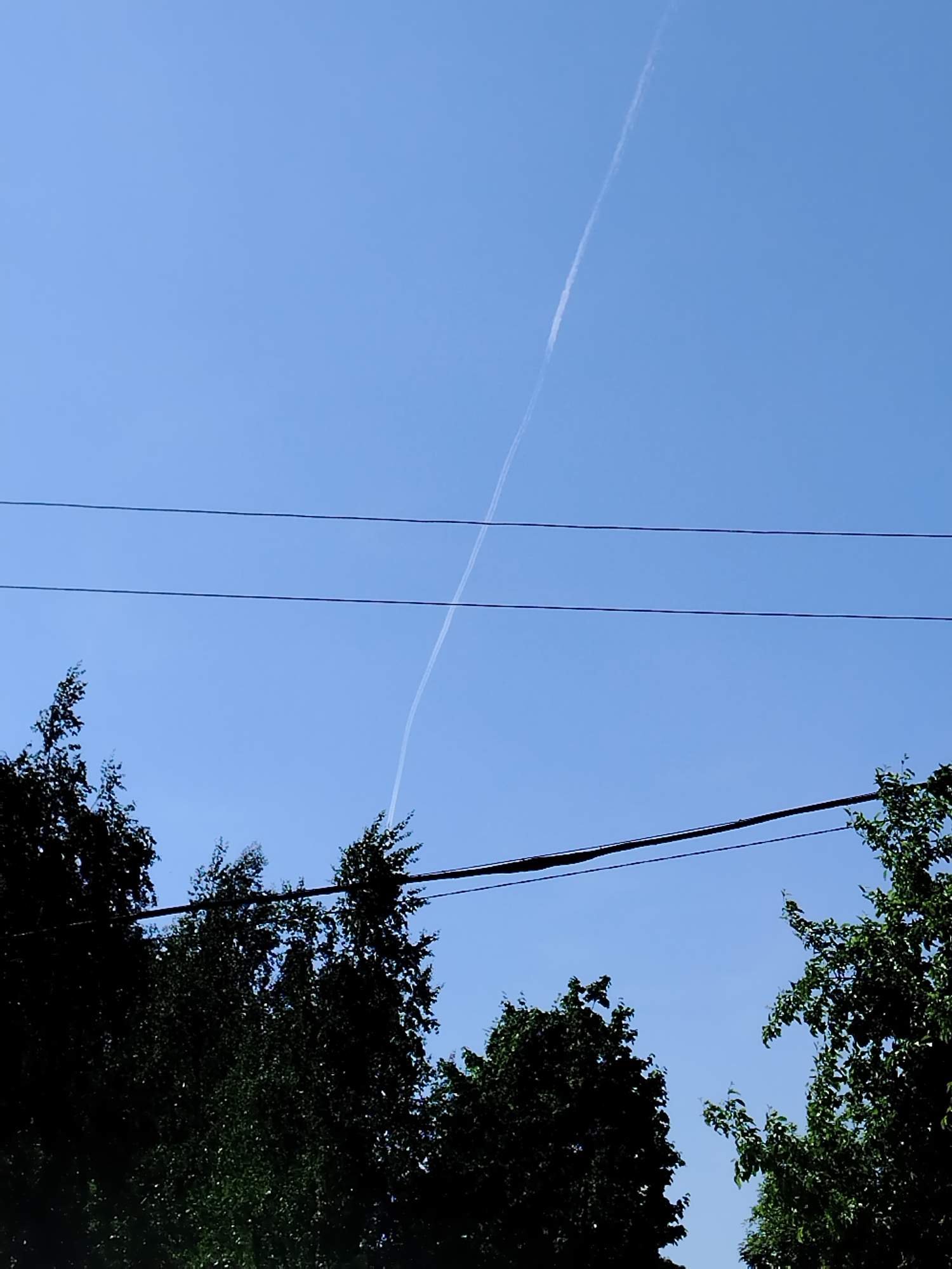 The image shows a bright blue sky with a white contrail diagonally crossing the frame. The contrail intersects with a set of horizontal power lines that run across the middle of the image. In the foreground, there are silhouettes of trees with dense green foliage. The image does not provide information to determine the specific location in Noviy, Russia. No people, specific objects, actions, or interactions are visible.