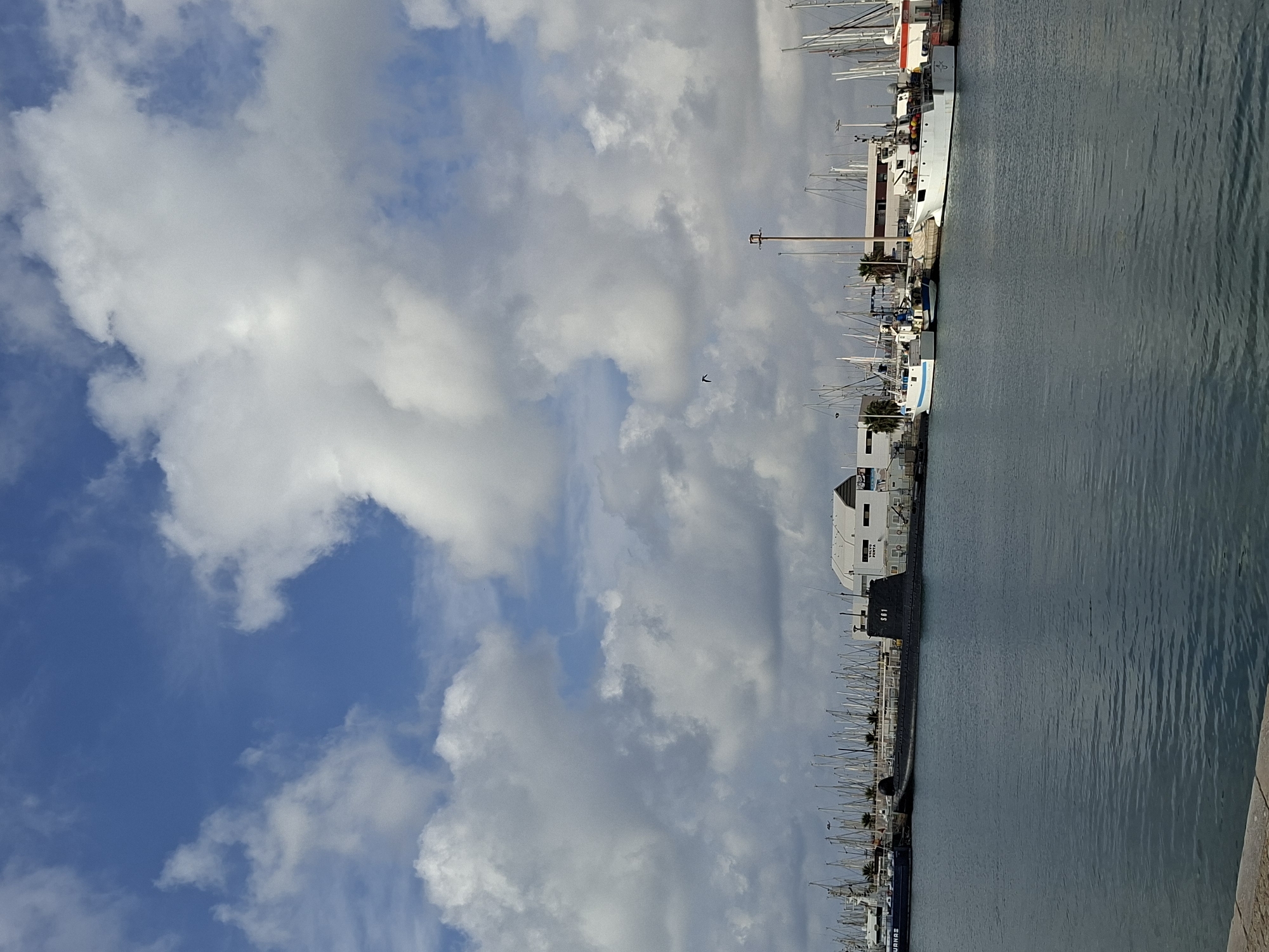 The image depicts a harbor scene in Torrevieja, Spain, under a partially cloudy sky. In the foreground, the calm, blue water of the harbor occupies the lower half of the frame. Along the shoreline, a variety of boats are docked. Prominently featured is a dark-colored submarine with the designation "S-01" visible on its side. To the right of the submarine, several white fishing boats are moored. Further back, a dense collection of sailboat masts rises above the docked vessels, suggesting a marina. A white building with a dark roof is situated behind the submarine and some of the fishing boats, with the text "VOLVO PENTA" visible on its exterior. In the sky, large, white cumulus clouds are scattered against a bright blue backdrop. A single bird is captured in flight against the clouds. The overall impression is one of a working harbor on a clear day.