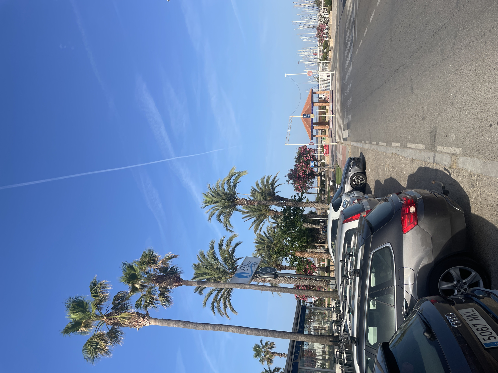 The image depicts a street scene in Canet d'en Berenguer, Spain, featuring a row of parked cars on the left side of the road, facing away from the viewer. Palm trees are prominent throughout the scene, lining the street and the background. To the left, a restaurant with outdoor seating is visible, with tables and chairs set up. Further down the street, a small gazebo with an orange tiled roof stands on a pedestrian island. Beyond the gazebo, a marina with numerous sailboats docked is visible. The sky is clear and blue with some wispy clouds and a contrail from an aircraft. The ground is asphalt with painted road markings. The cars appear to be parked legally along the curb. No people are clearly depicted engaging in any specific actions. The overall atmosphere is one of a sunny day in a coastal town.