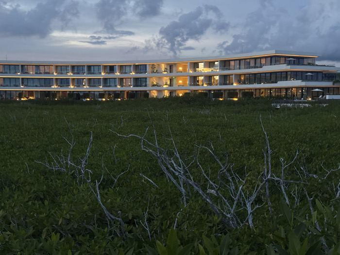 A modern, multi-story hotel stands illuminated against a twilight sky. The structure's curved facade features rows of glowing windows and balconies. Lush green vegetation fills the foreground, dotted with bare, silvery branches. The scene evokes a sense of serene luxury and tranquility, contrasting the building's modern design with the natural, untamed landscape.