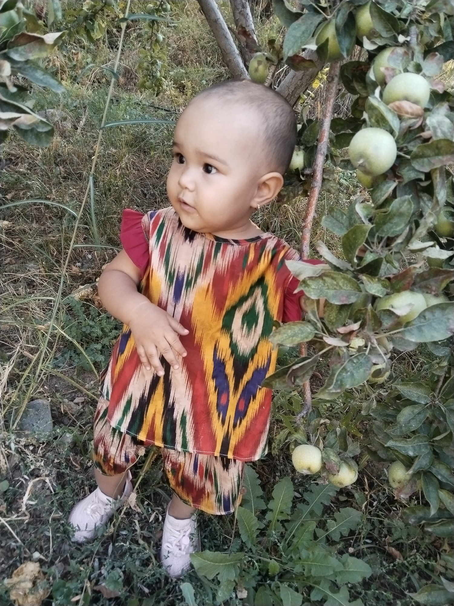 A young child, likely a toddler, stands outdoors in a garden setting, possibly in Akata, Uzbekistan. The child is wearing a brightly colored, patterned tunic and shorts, with pink shoes. The child is looking to their left, with their right hand slightly raised. The child is positioned next to a tree with green apples on its branches. The ground is covered with grass, weeds, and some rocks. The background consists of more vegetation and the trunk of a tree.