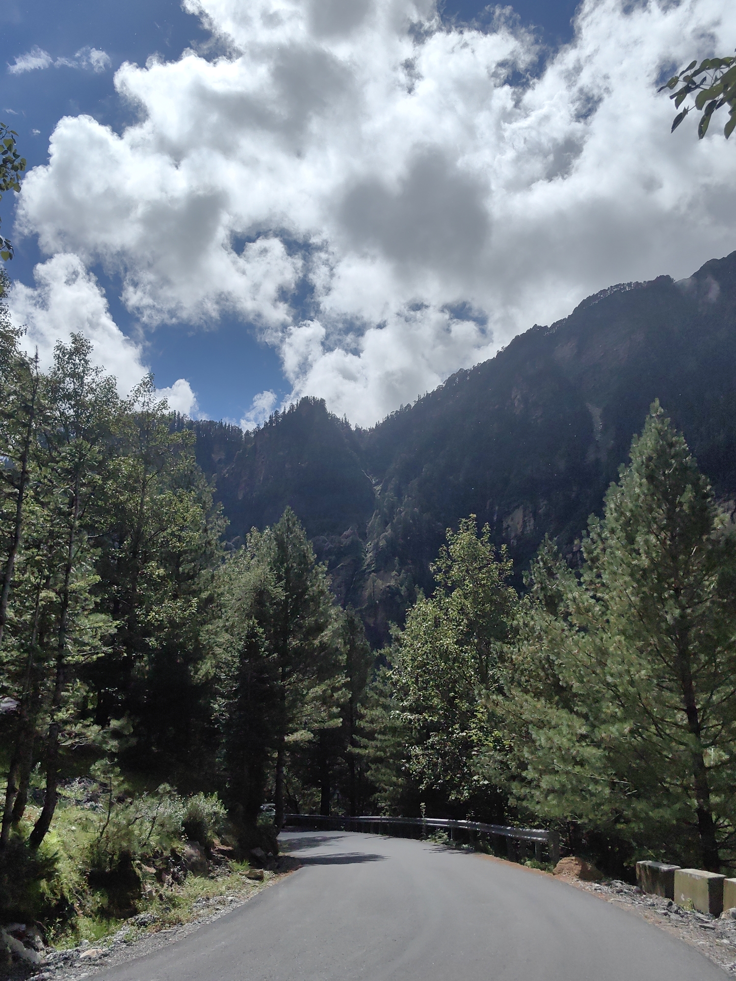 A mountain road winds through a dense forest under a partly cloudy sky. The road, paved with asphalt, curves to the right, disappearing into the trees. A metal guardrail lines the left side of the road, separating it from a steep embankment covered in vegetation. The trees are a mix of coniferous and deciduous, with lush green foliage. In the background, a dark, imposing mountain rises steeply, its slopes covered in trees and rocky outcrops. The sky above is a brilliant blue, dotted with fluffy white clouds that cast shadows on the mountainside. The scene suggests a remote, natural setting, likely in a mountainous region. There are no people or animals visible in the image.