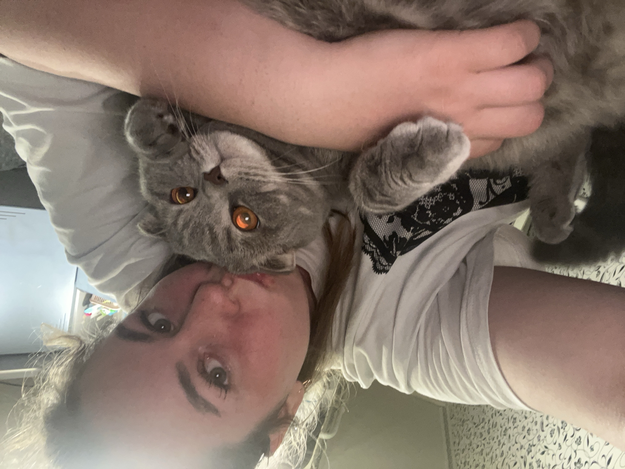 A close-up selfie, oriented on its side (rotated 90 degrees counter-clockwise), captures a person affectionately holding a grey cat. The person's head and upper body are visible on the left side of the frame, with their face turned towards the camera. They have light, somewhat flushed skin, a relaxed expression with slightly parted lips, and dark eyes looking directly at the viewer. Their light brown hair is pulled back, with some strands visible around their face. They are wearing a white t-shirt with a black lace or patterned detail on the right shoulder.
Cradled in the person's arms and pressed against their cheek is a fluffy, grey cat, likely a British Shorthair, also looking towards the camera. The cat's most striking feature is its large, luminous orange eyes, which appear to glow brightly, possibly due to a camera flash reflecting off its tapetum lucidum. Its nose is pinkish-brown, and its whiskers are prominent. The cat's paws are visible, resting on the person's arm and shoulder.
The background is softly blurred but reveals a light-colored wall with a subtle, patterned wallpaper. Some indistinct furniture or objects are visible in the upper left corner of the frame. The scene appears to be indoors, conveying a sense of warmth, comfort, and companionship between the owner and their pet. The image suggests it was taken in Chaikovsky, Russia. No visible text is present.