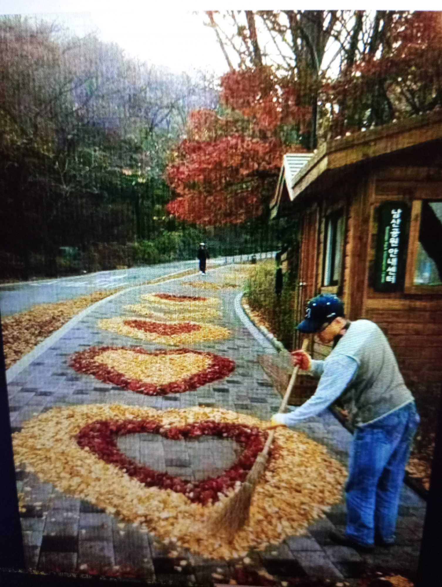 In Harmanli, Bulgaria, a person is raking fallen leaves, forming heart shapes on a paved walkway. The walkway is bordered by a road and trees displaying autumn colors. A wooden building with a sign is visible on the right. The man is wearing a blue baseball cap, a light blue long-sleeved shirt, a vest, and blue jeans. The leaves are a mix of red and yellow.