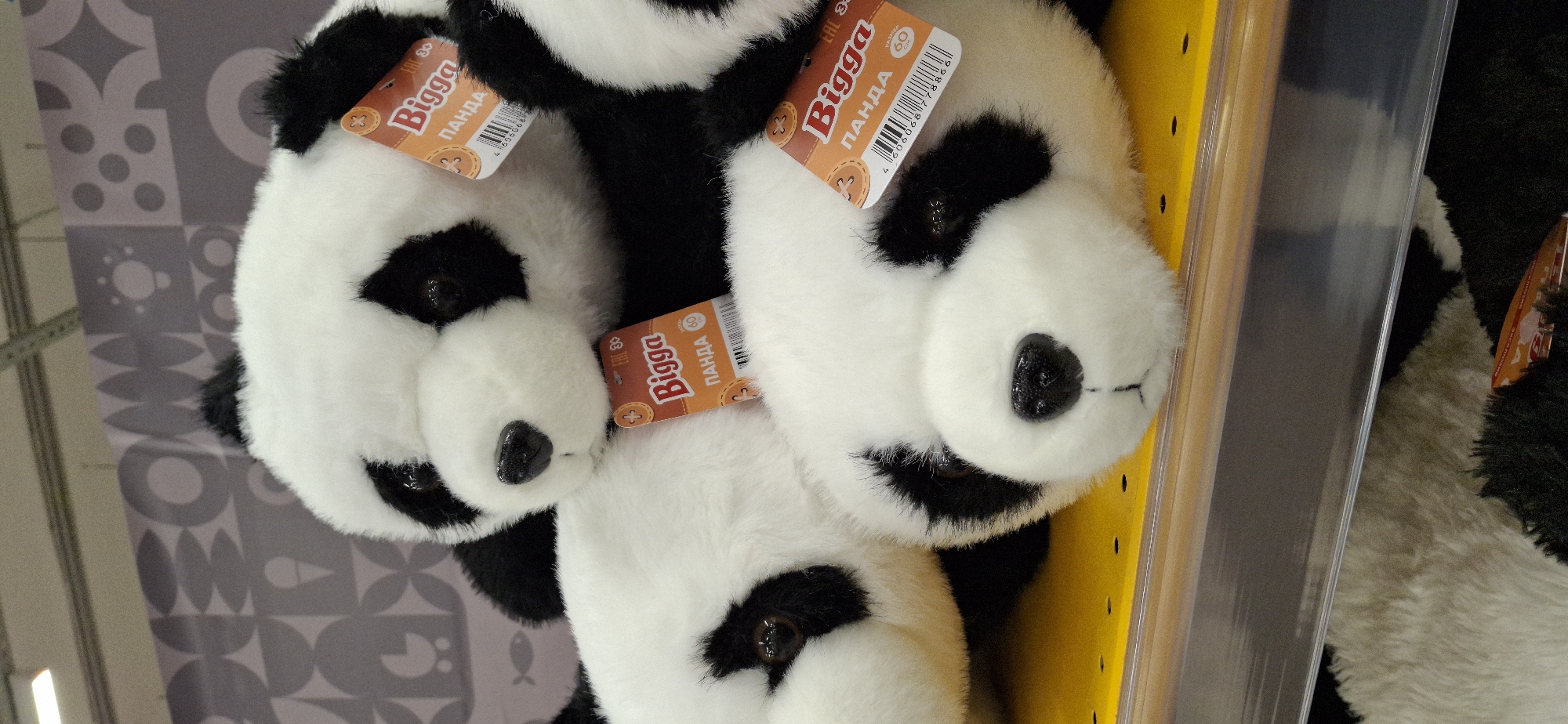 The image shows a close-up of several plush toy pandas stacked on a yellow shelf in a store. The pandas have black patches around their eyes and ears, and white bodies. They are wearing orange tags that say "Bigga" and "ПАНДА" (Panda in Russian), along with a barcode. The background is a grey wall with a geometric pattern. The lighting is bright, suggesting an indoor retail environment. The image appears to be taken at a slightly downward angle. No people are visible in the frame. The exact location in the city of Тельмана, Russia is not discernible from the image itself, but the presence of Russian text on the tags suggests it is a Russian retailer.