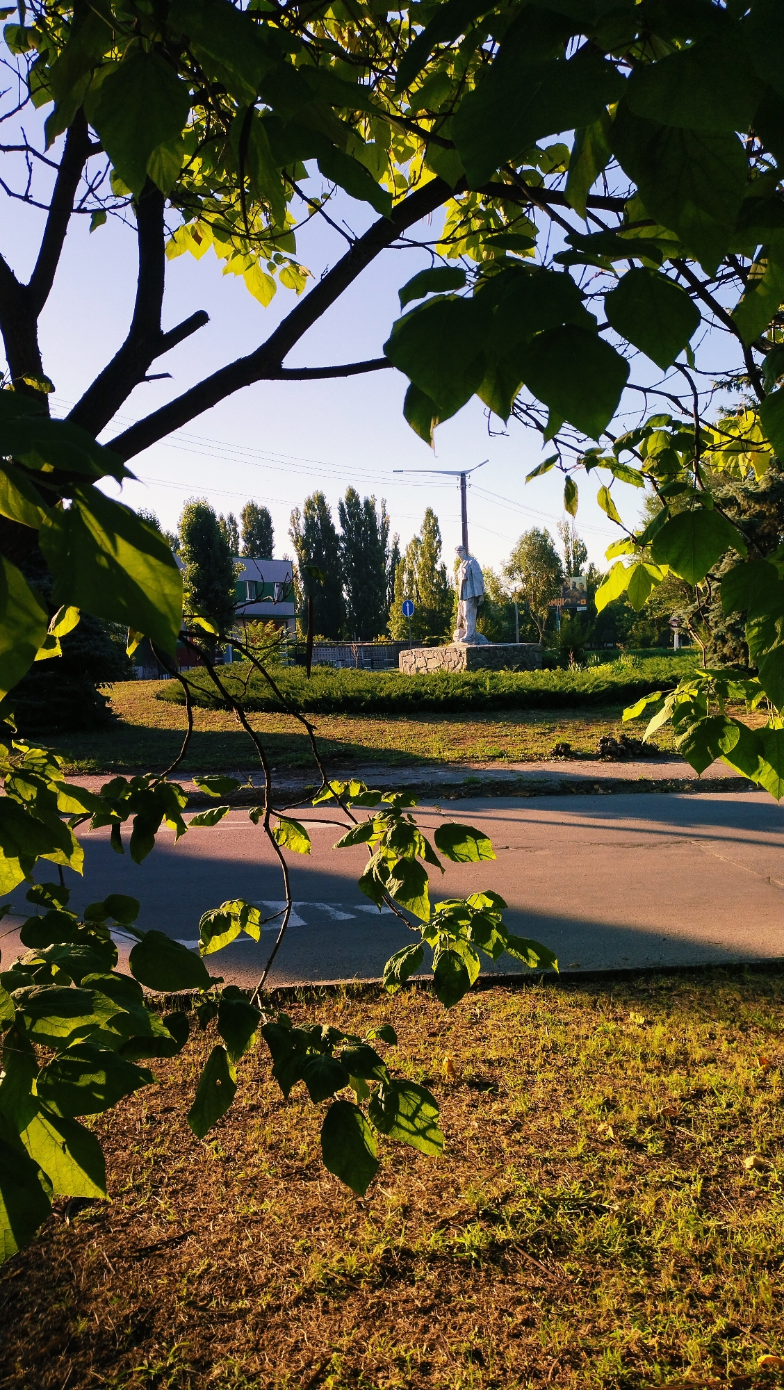 The image captures a street scene in Horishni Plavni, Ukraine, framed by the branches and leaves of a tree in the foreground. The leaves are lush green and backlit by the sun, creating a dappled effect on the pavement and grass. A paved road runs diagonally across the lower part of the image, with a grassy area beside it. In the middle ground, a monument stands on a stone base, featuring a statue of a man in a suit. Behind the monument, a line of tall, slender trees forms a backdrop, with a building with a green roof visible further behind. The sky is clear and blue. The lighting suggests it is late afternoon or early evening, with warm sunlight casting long shadows.