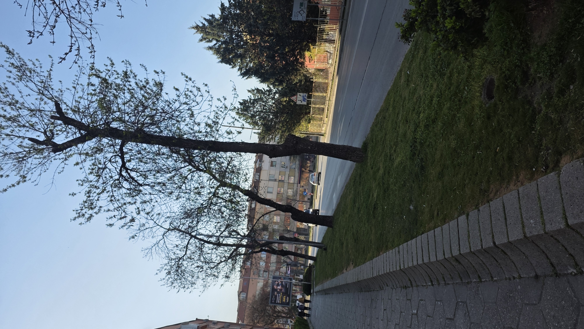 The image depicts a street scene in Blagoevgrad, Bulgaria. A sidewalk constructed of grey paving stones runs along the bottom of the frame. A low, rectangular wall separates the sidewalk from a grassy area. Beyond the grass is a road with vehicular traffic. Trees line both the sidewalk and the road. Buildings, including apartment blocks, are visible in the background. A poster is attached to a building. Several people are walking on the sidewalk. The sky is blue.