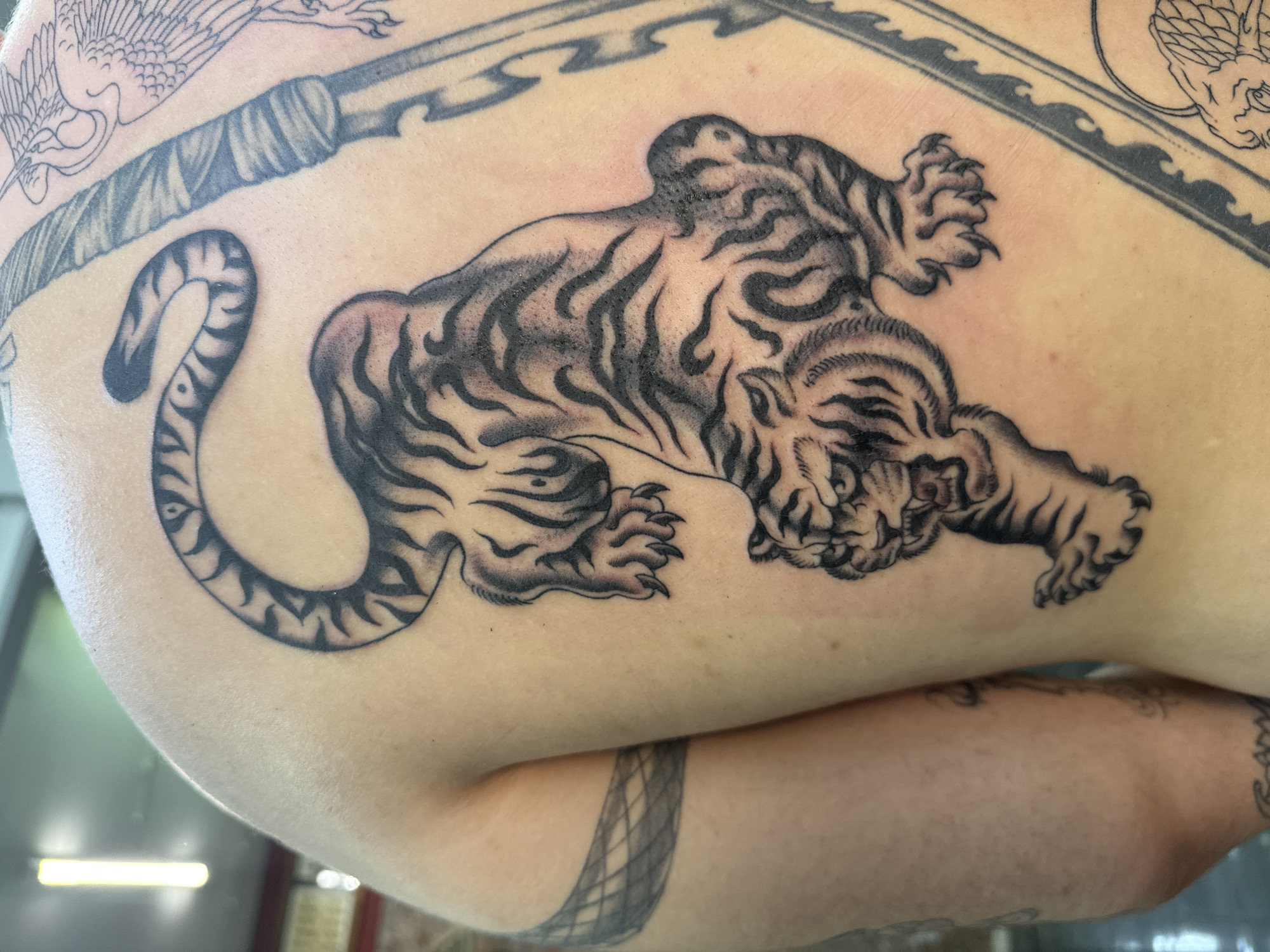 A close-up, high-angle photograph captures the upper back and right arm of an individual, focusing on a large, recently tattooed black and grey tiger. The tiger is depicted in a dynamic, crawling pose, positioned diagonally across the upper back with its head turned to face the viewer. Its mouth is slightly agape, revealing teeth, and its claws are extended. The tiger features stylized black stripes and grey shading, giving it depth. Notable redness is visible on the skin surrounding sections of the tiger tattoo, particularly along its left shoulder and the base of its tail, consistent with recent tattooing or healing.
To the viewer's right of the tiger, a long, vertical tattoo resembling a wrapped sword hilt or scabbard runs down the back, bordered by a decorative pattern. Above this, the outline of a stylized crane or similar bird is partially visible. On the individual's right upper arm, a band-style tattoo with a geometric, possibly interweaving pattern is present.
The skin tone is fair, exhibiting typical human pores and minor blemishes. The background is out of focus, suggesting an indoor setting. A prominent, vertically oriented light fixture emitting a bright yellow-white light is visible in the blurred upper left portion of the background. No identifiable landmarks, signage, or other contextual clues are present in the image to determine a specific location within Moscow, Russia, or any other city or country.
