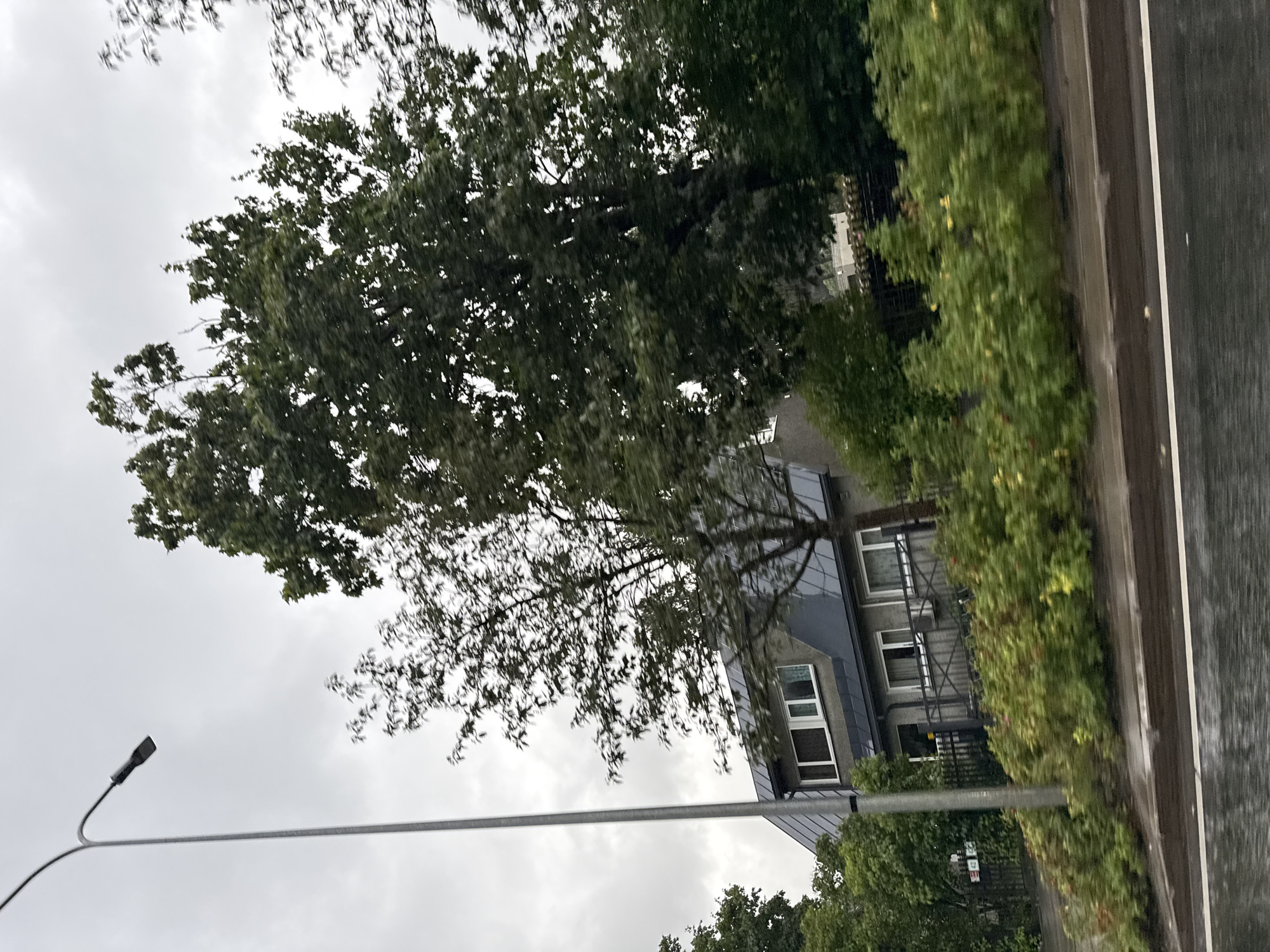 The image depicts a street scene in Tallinn, Estonia on an overcast day. In the foreground, a wet asphalt road with a white line is visible. Beyond the road, a densely planted hedge with green leaves and some yellow and red flowers runs horizontally across the frame. Behind the hedge, a modern-style house with a dark, sloped roof and multiple windows is visible. A tall, grey lamppost stands to the left of the house. Several trees with dark green foliage are scattered throughout the scene, some obscuring parts of the house and the sky. The overall atmosphere is muted due to the cloudy weather, and the wetness of the road suggests recent or ongoing rain. The image appears to have been taken from a moving vehicle due to the slight motion blur.