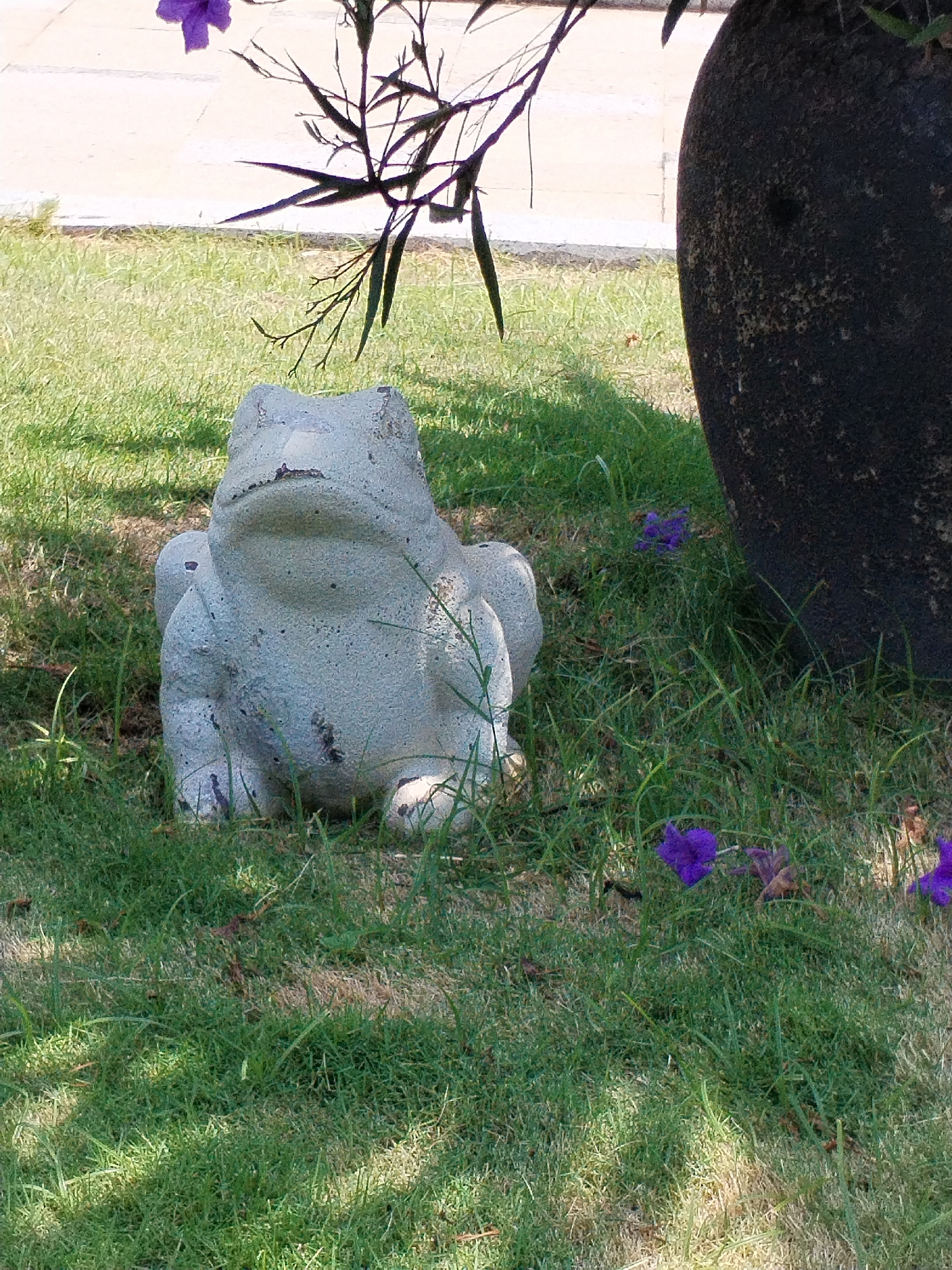 A stone frog statue sits on grass next to a dark, textured pot. A plant with dark stems and sparse leaves hangs over the statue. A paved walkway is visible in the background. Several purple flowers are scattered in the grass around the statue and pot. The photo was taken in the city of Bac Nha Trang Ward, Vietnam.