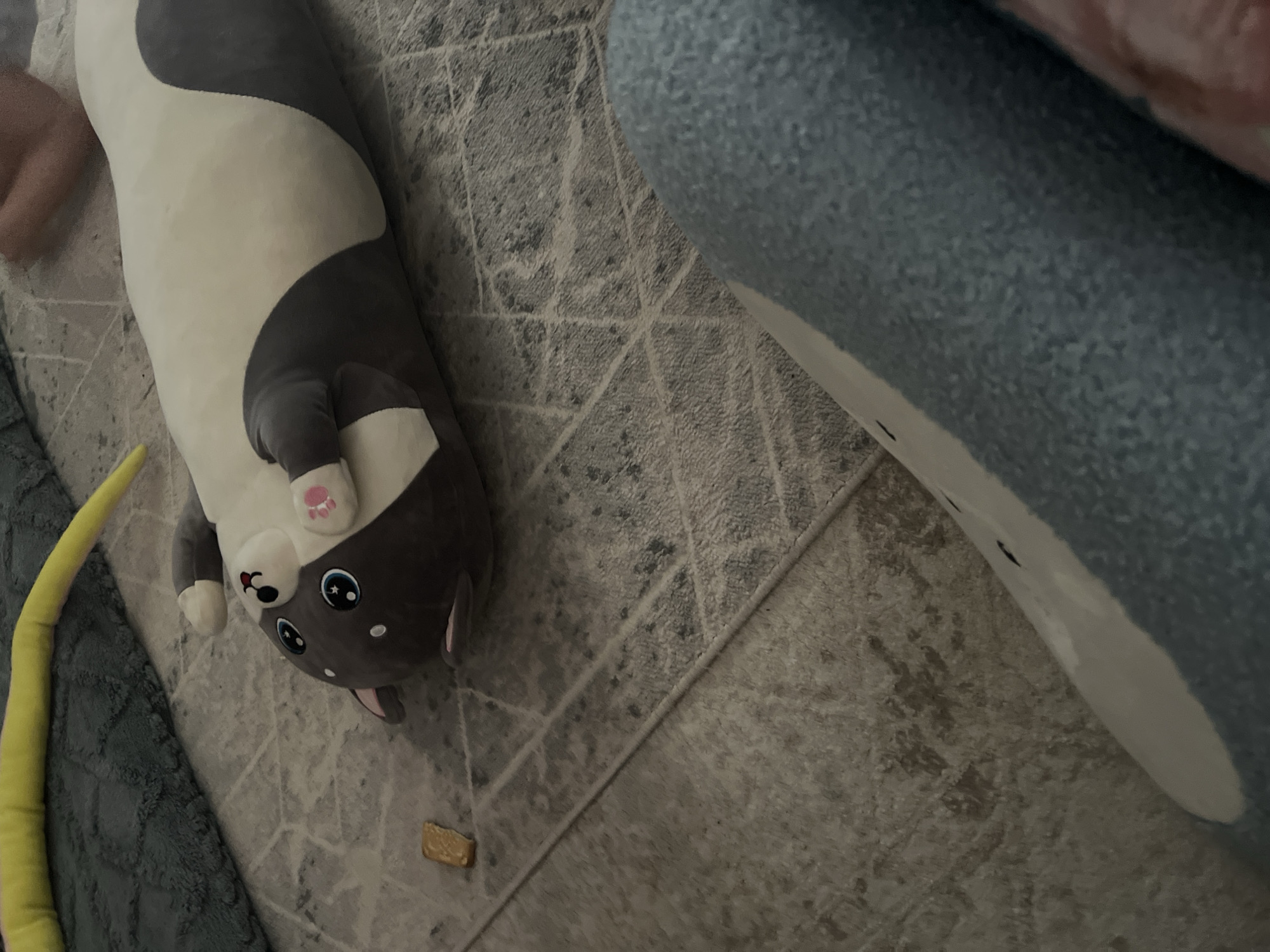 In a domestic setting, possibly a bedroom in the city of Baikonur, Kazakhstan, a large, gray and white plush cat toy is positioned on a patterned rug. The toy lies on its back with its paws in the air. To the left of the toy, a small, rectangular, light brown object, potentially a biscuit or cracker, rests on the rug. A portion of a larger blue object, also appearing to be a plush item or bedding, is visible in the foreground, partially obscuring the rug and the cat toy. In the background, a yellow tubular object, possibly another toy or a pillow, lies across a dark gray textured blanket. The overall scene suggests a casual, indoor environment.