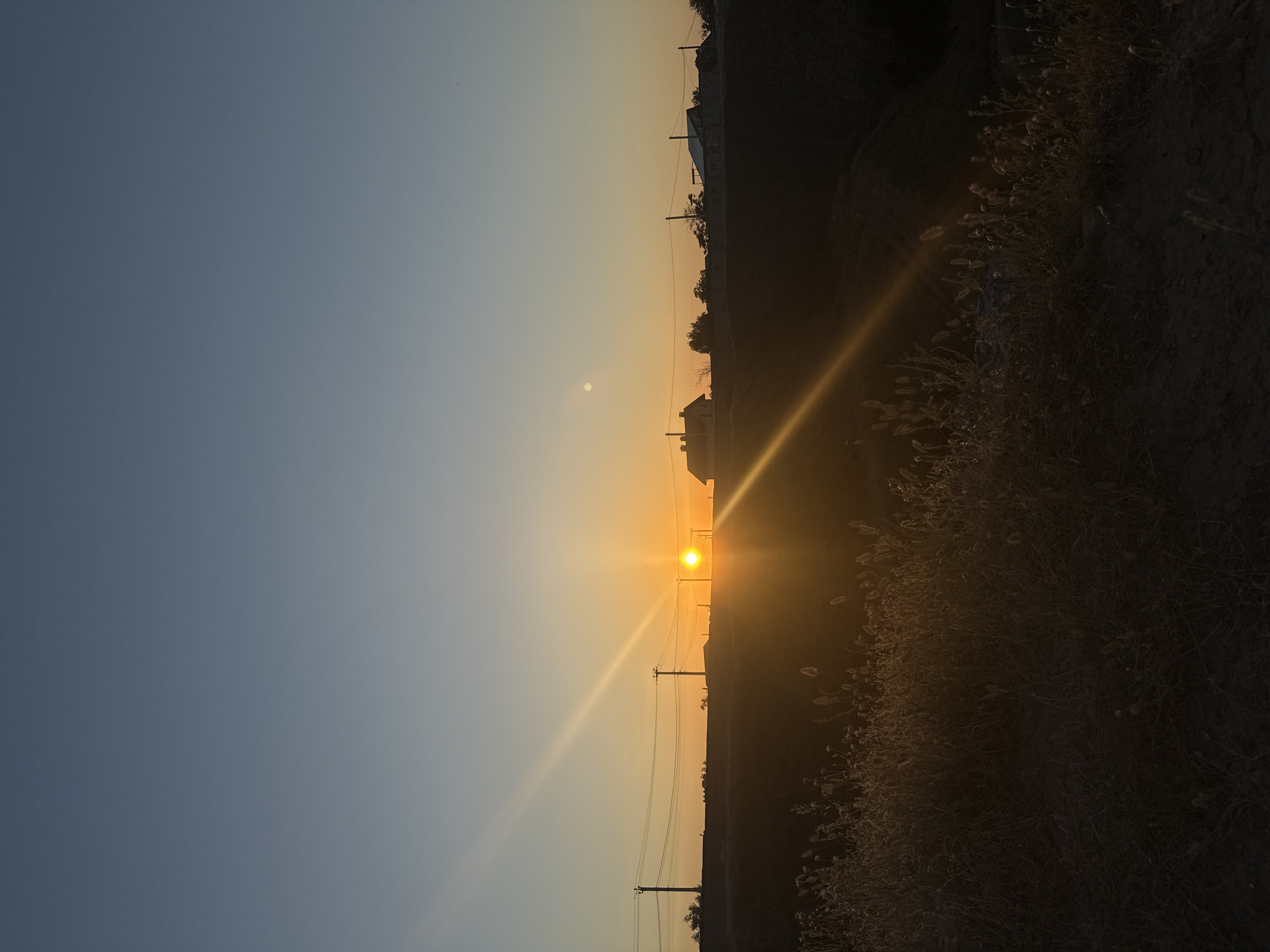 This is a vertical, eye-level, full shot of a sunset over a rural landscape. The sun is low on the horizon, casting a warm orange glow across the sky. The sky transitions from a pale blue at the top to a deep orange near the horizon. In the foreground, dry grass and weeds are silhouetted against the sunset. In the middle ground, a dark, hilly terrain is visible, with power lines and telephone poles running across it. A few houses are silhouetted against the sky in the distance. The overall mood of the image is peaceful and serene. The location is identified as Mizhlymanske, Ukraine.