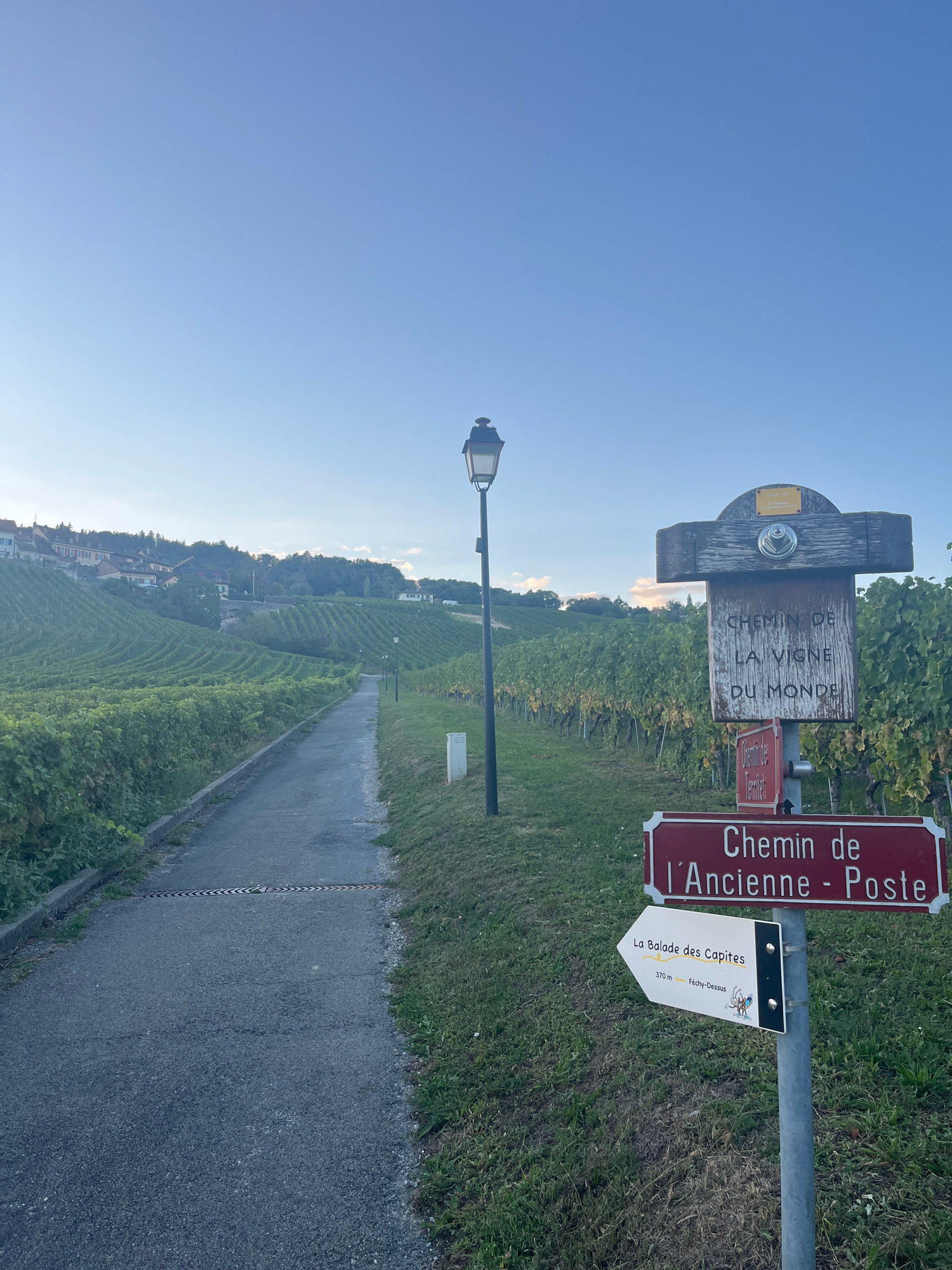 The image depicts a signpost in Féchy, Switzerland, set against a backdrop of rolling vineyards. The signpost, made of weathered wood and metal, features several directional signs. The topmost sign, a rustic wooden plaque, is inscribed with "CHEMIN DE LA VIGNE DU MONDE" (The World's Vine Path). Below this, a red sign reads "Chemin de l'Ancienne - Poste" (Old Post Path). Further down, a white arrow-shaped sign points left, indicating "La Balade des Capites" (The Capites Walk), with a distance of "370 m" and the destination "Féchy-Dessus." The path leading away from the signpost is paved and bordered by lush green grapevines that cover the hillside. A lamppost stands to the left of the signpost. In the distance, a village with red-tiled roofs is nestled on the hill, partially obscured by trees. The sky is clear blue, indicating fair weather.