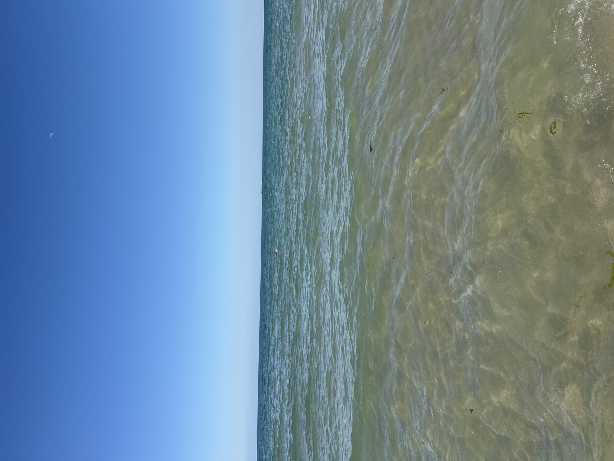 The image depicts a view of the Black Sea from the beach in Varna, Bulgaria. The sky is a clear, bright blue with a small crescent moon visible in the upper right quadrant. The horizon line, separating the sky and sea, is sharp and straight. The sea itself is calm with gentle waves. The water in the foreground is shallow and clear, revealing the sandy seabed and some patches of green seaweed. Further out, the water is a deeper blue-green. A single person is visible in the distance, appearing to be swimming or floating in the water. The overall scene is one of a tranquil day at the beach.