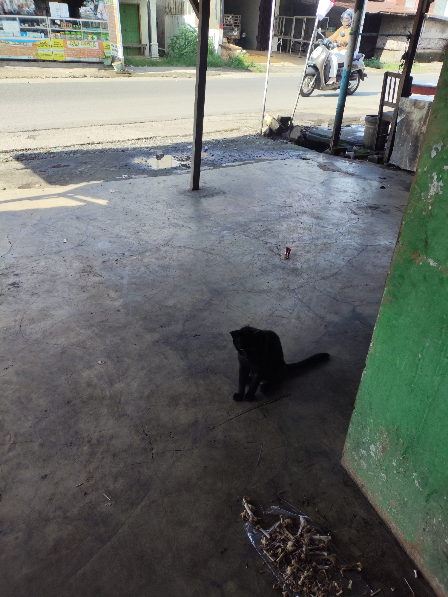 The image depicts a scene in Sei Mencirim, Indonesia. A black cat is seated on a cracked concrete ground, facing left. To the right of the cat, a pile of small bones is contained within a transparent plastic bag, also on the concrete. In the background, a street is visible with a few parked vehicles and a person riding a scooter. A building with a green wall is partially visible on the right side of the frame. The ground shows signs of wear and tear, with numerous cracks and some scattered debris.
