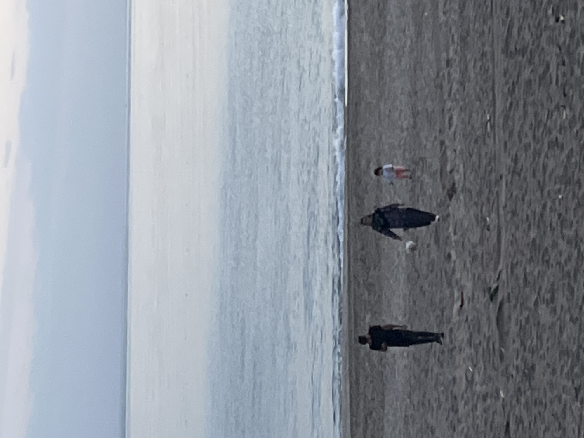 The image captures a peaceful beach scene in Alanya, Turkey, showcasing the vast expanse of the Mediterranean Sea meeting a sandy shore under a soft, overcast sky. The horizon line is prominent, separating the light blue-grey of the sea from the paler, almost white sky. Gentle, foamy white waves break delicately along the shoreline, indicating calm waters.
The beach itself is characterized by dark grey, coarse-grained sand, which occupies the lower and right portions of the frame. Three individuals are visible on the sand. A child, dressed in a light top and orange or red shorts, is positioned closest to the water's edge, slightly to the left of the frame's center. Further up the beach, an adult figure wearing dark clothing and possibly carrying a backpack is visible. Another adult, also in dark attire, stands closer to the water, between the child and the other adult. A small, light-colored object, possibly a ball, lies on the sand near this middle adult.
The lighting is soft and diffused, suggesting either an overcast day or the subdued light of early morning or late afternoon, as there are no strong shadows. The overall mood is tranquil, depicting a quiet moment by the sea. There is no visible text in the image.
