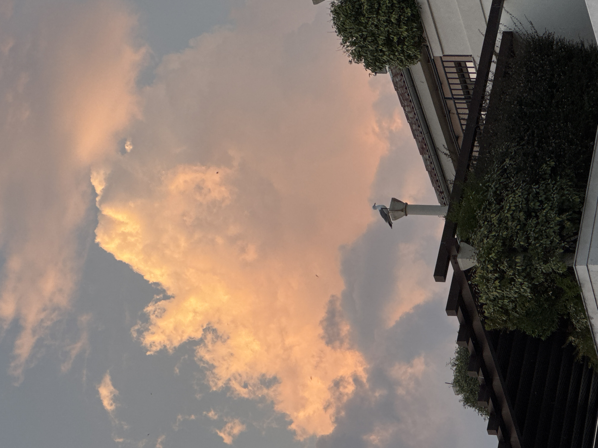 The image captures a view looking upwards at a building with lush greenery and a bird perched on a structure against a backdrop of a sunset sky. The sky is filled with dramatic clouds, some illuminated with a warm, peachy glow from the setting sun, while others are in shadow. The building appears to be modern, with a white facade and dark architectural elements. Greenery spills over balconies and from planters, creating a vibrant contrast with the building's structure. A single bird, possibly a seagull, is perched on a white, decorative post. The scene evokes a sense of tranquility and natural beauty, with the sunset casting a serene ambiance. The time of day is clearly sunset due to the colors in the sky. There are no visible text elements in the image.