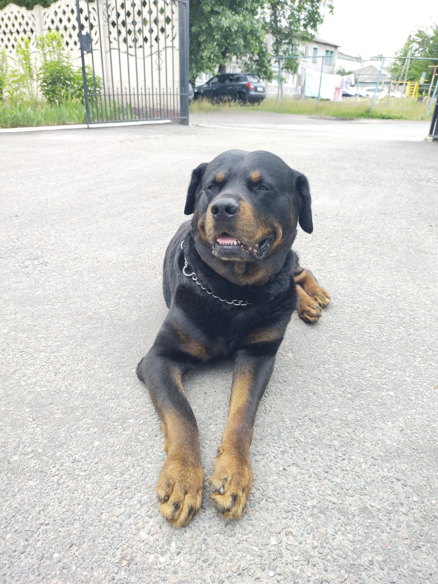 Memory