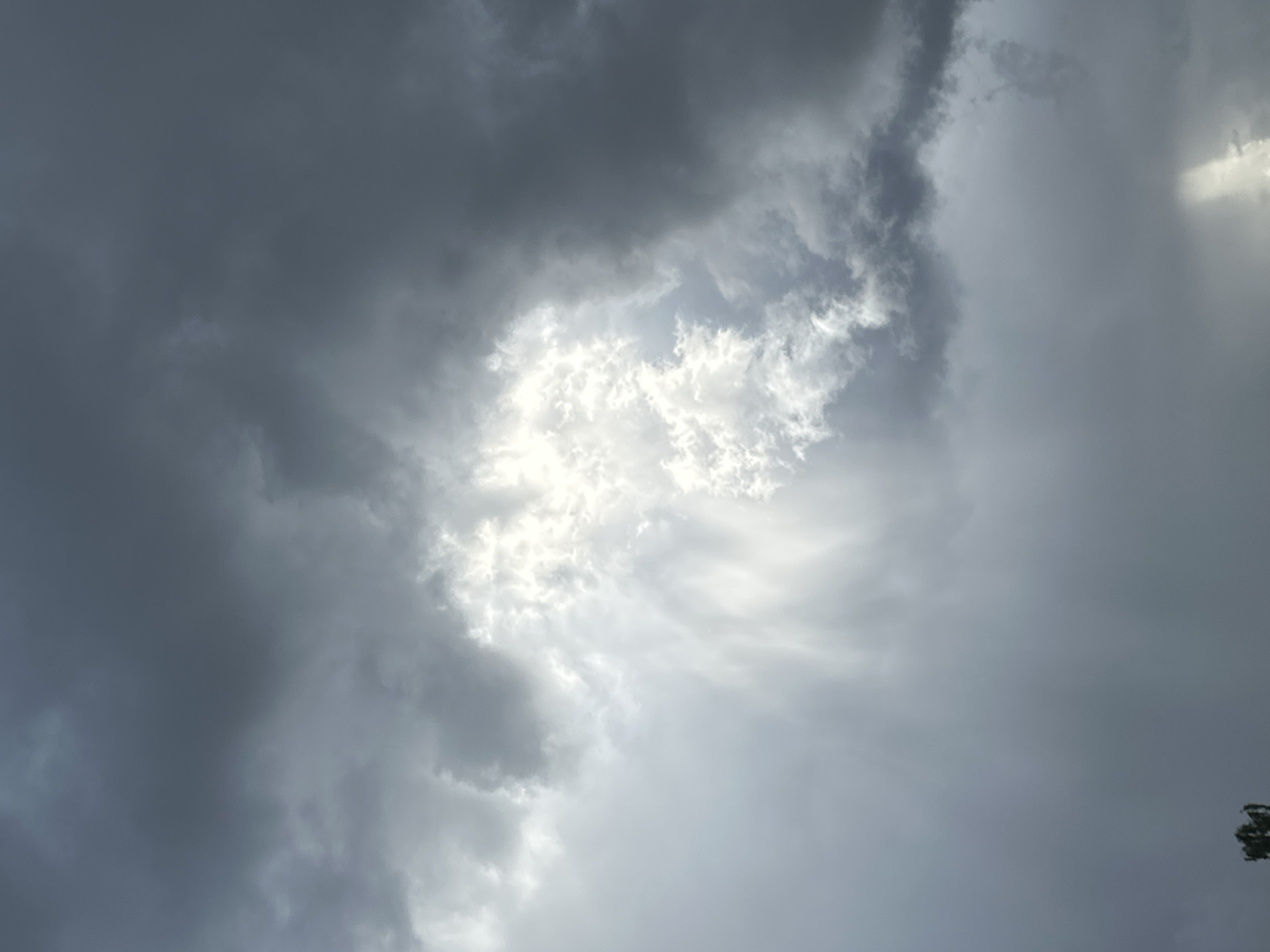 The image displays a dramatic sky filled with dark, heavy clouds. A bright, illuminated area of clouds is visible in the center, with light rays streaming down, suggesting a break in the overcast sky. The lower portion of the image shows a very dark, overcast sky with a faint shaft of light on the right side. At the very bottom left corner, a small section of dark green foliage, possibly from a tree, is visible against the sky. The scene appears to be an outdoor environment, likely a sky view from Tallinn, Estonia, during a period of inclement weather or a storm. There are no people or specific landmarks of Tallinn identifiable in this image.