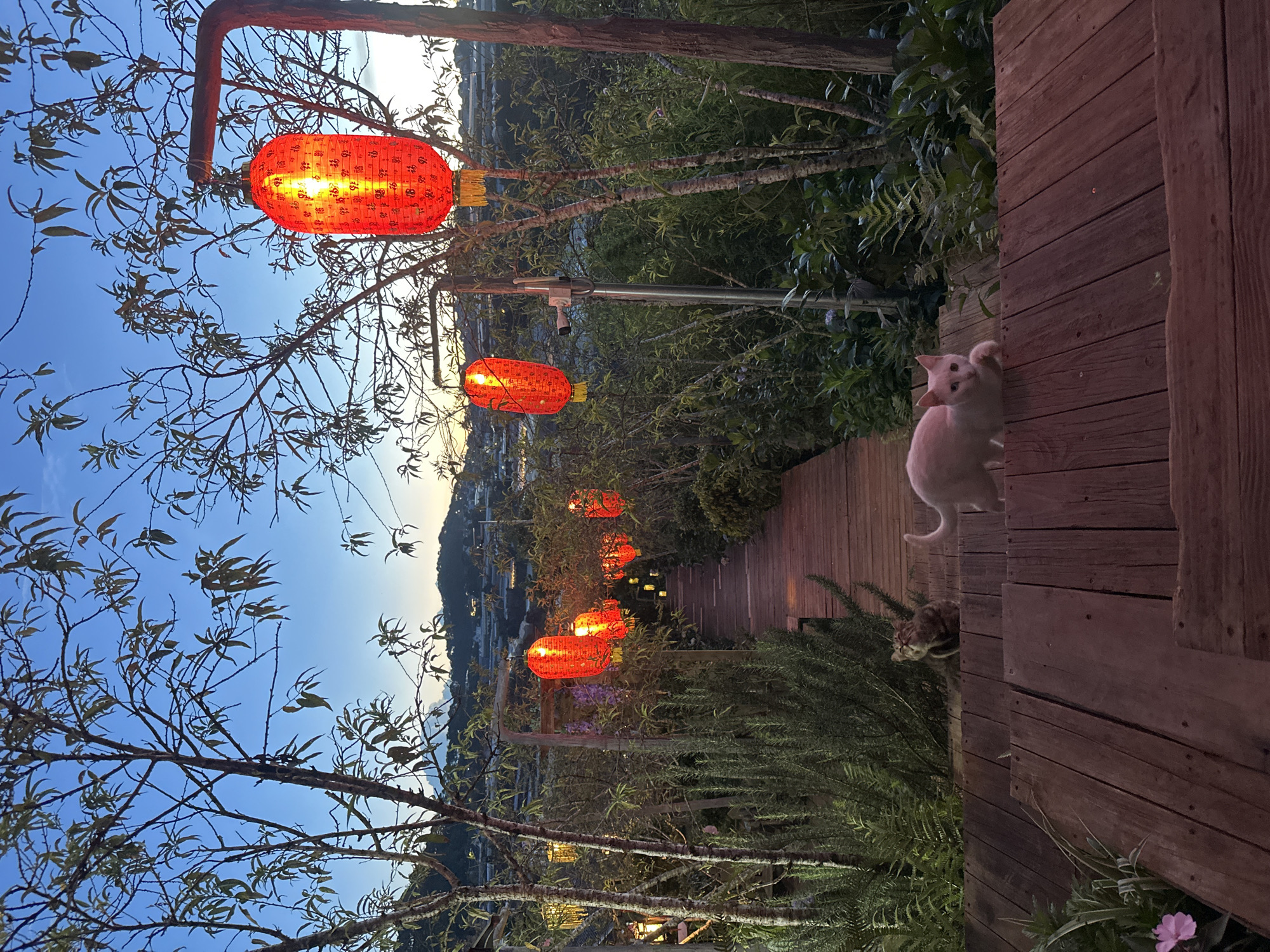 The image depicts an outdoor evening scene in Lộc Quý, Vietnam. Red lanterns are strung along a path lined with trees and lush greenery, casting a warm glow. The lanterns appear to be of traditional design, with some featuring Chinese characters. A wooden walkway meanders through the scene, leading towards a distant town or city nestled in a valley. The sky is a clear blue, suggesting fair weather.
A light-colored cat is visible on the wooden walkway, looking curiously towards the camera. Another cat, a tabby, is partially obscured by foliage on the left side of the walkway. The overall mood is serene and inviting, with the gentle light of the lanterns creating a festive yet tranquil atmosphere. The time of day is likely dusk or early evening, as indicated by the clear sky and the illuminated lanterns. There is no visible text in the image.