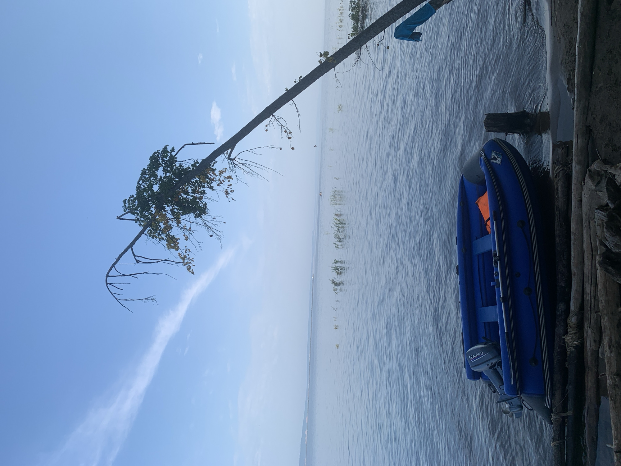 A blue inflatable boat with a small outboard motor is moored to a post at the edge of a calm body of water. The boat is positioned on a sandy shore with several logs scattered in the foreground. A leaning tree with sparse foliage extends from the right side of the image over the water, with a blue towel hanging from one of its branches. The sky is clear with a few wispy clouds. The scene appears to be located on the Kama River in Chaikovsky, Russia.